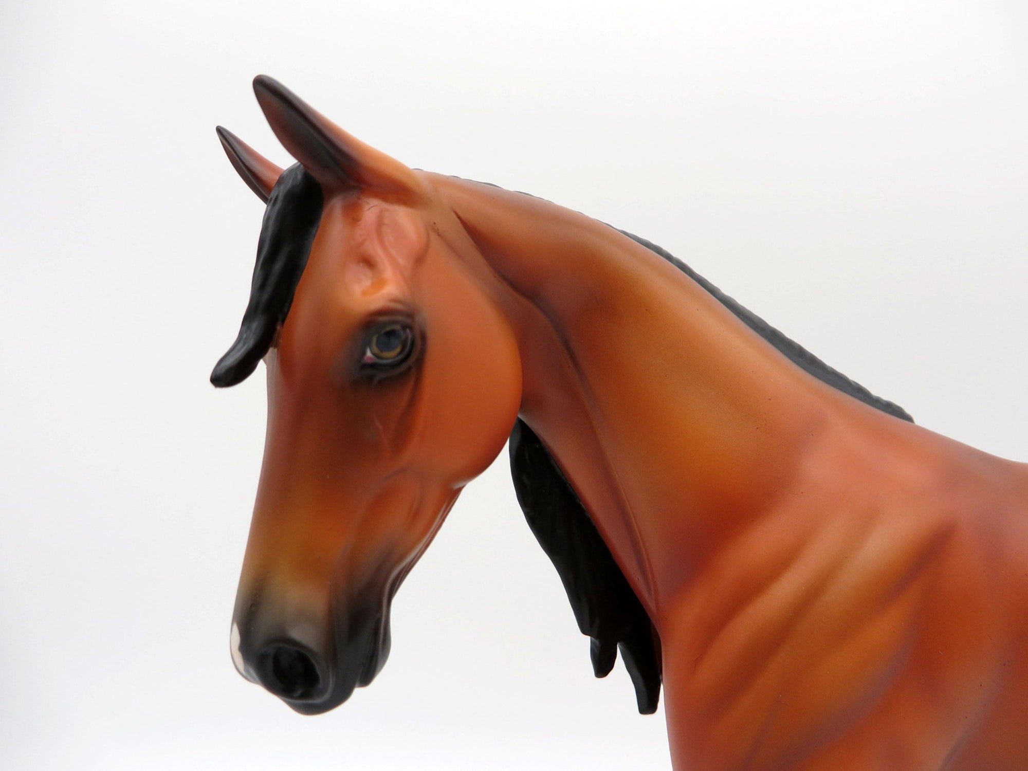 Angelou-OOAK Bay Appaloosa Pony Painted By Ellen Robbins EQ21