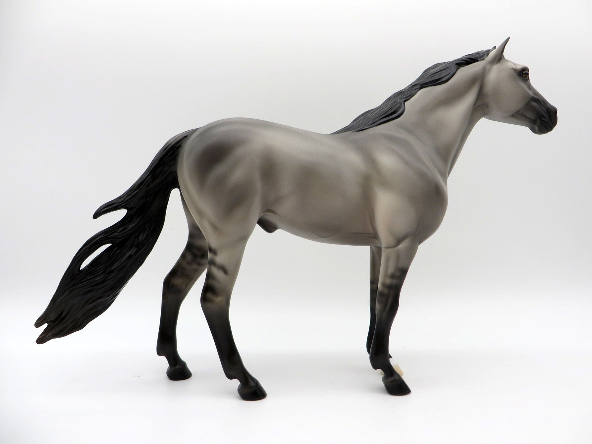 Anton-OOAK Grulla Spanish Mustang Painted by Ellen EQ 21