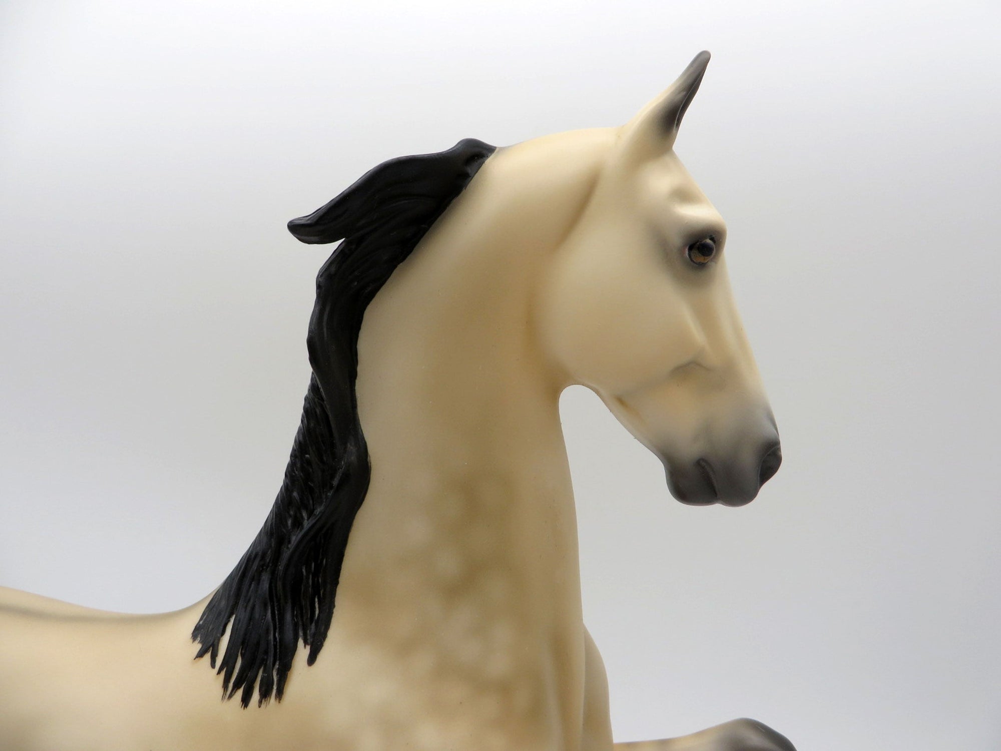 Anubis-OOAK Buckskin Saddlebred 5/14/21