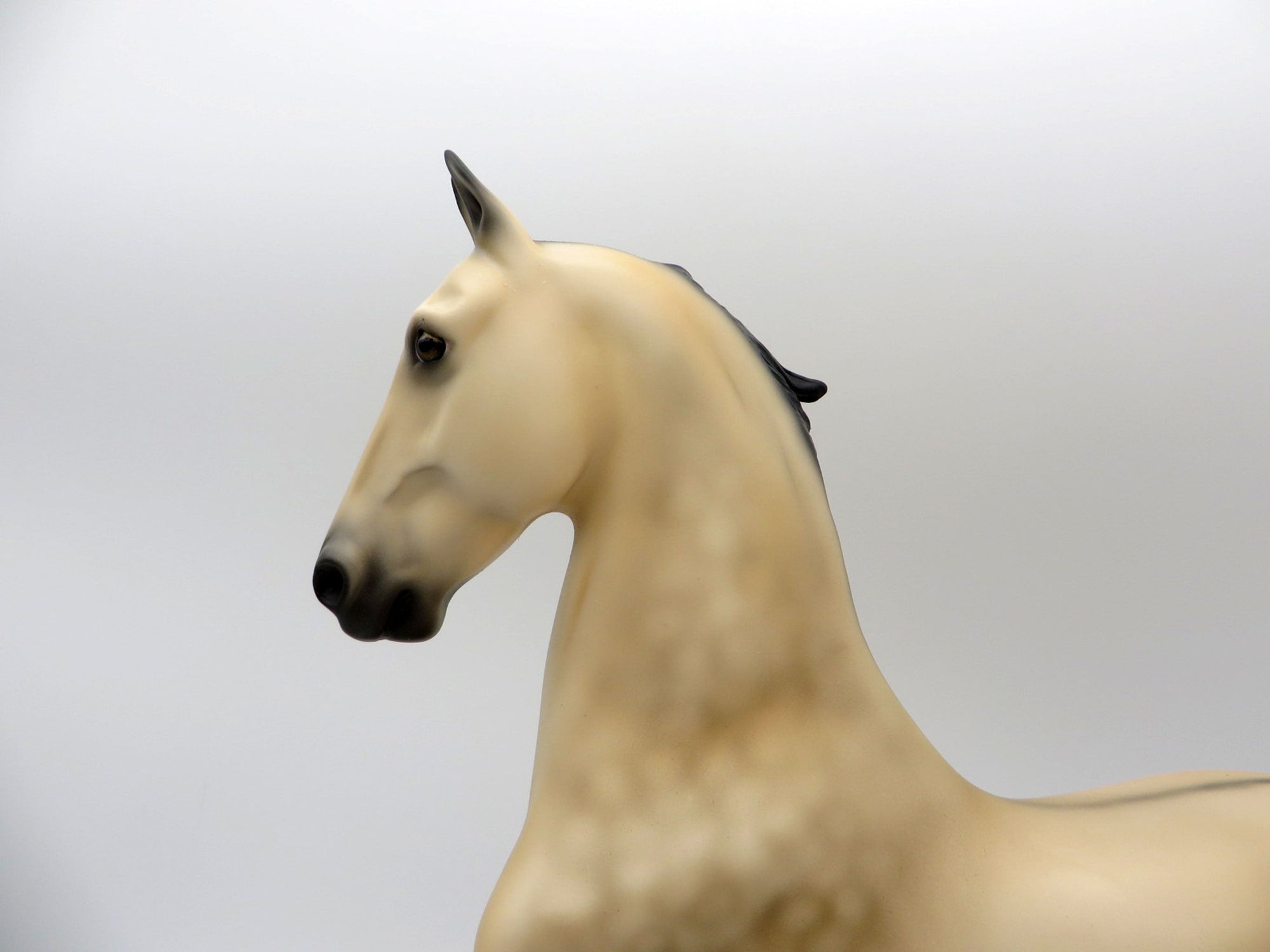 Anubis-OOAK Buckskin Saddlebred 5/14/21