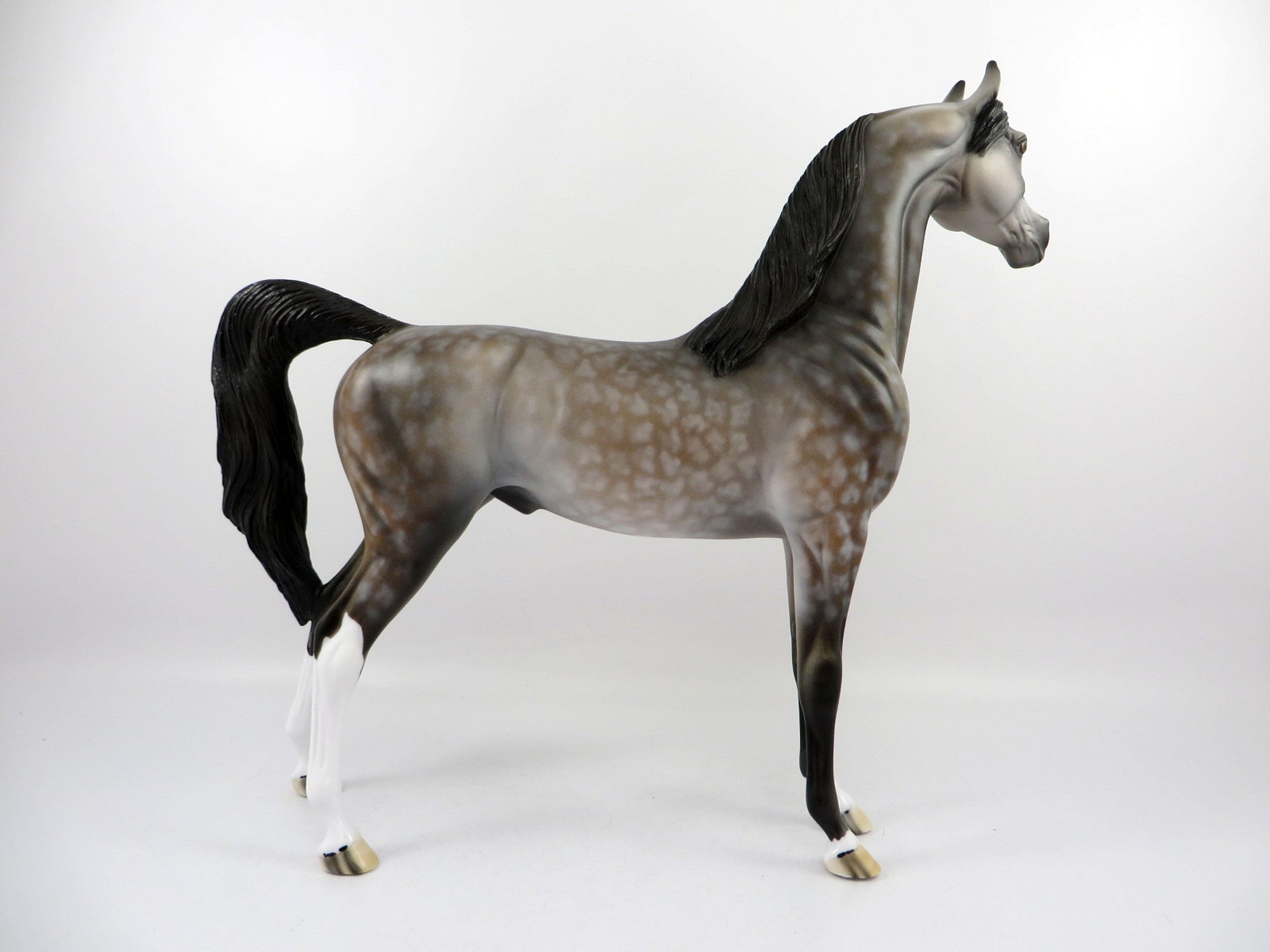 AOIFE-OOAK Dapple Bay Arabian Painted By Dawn Quick 4/13/21