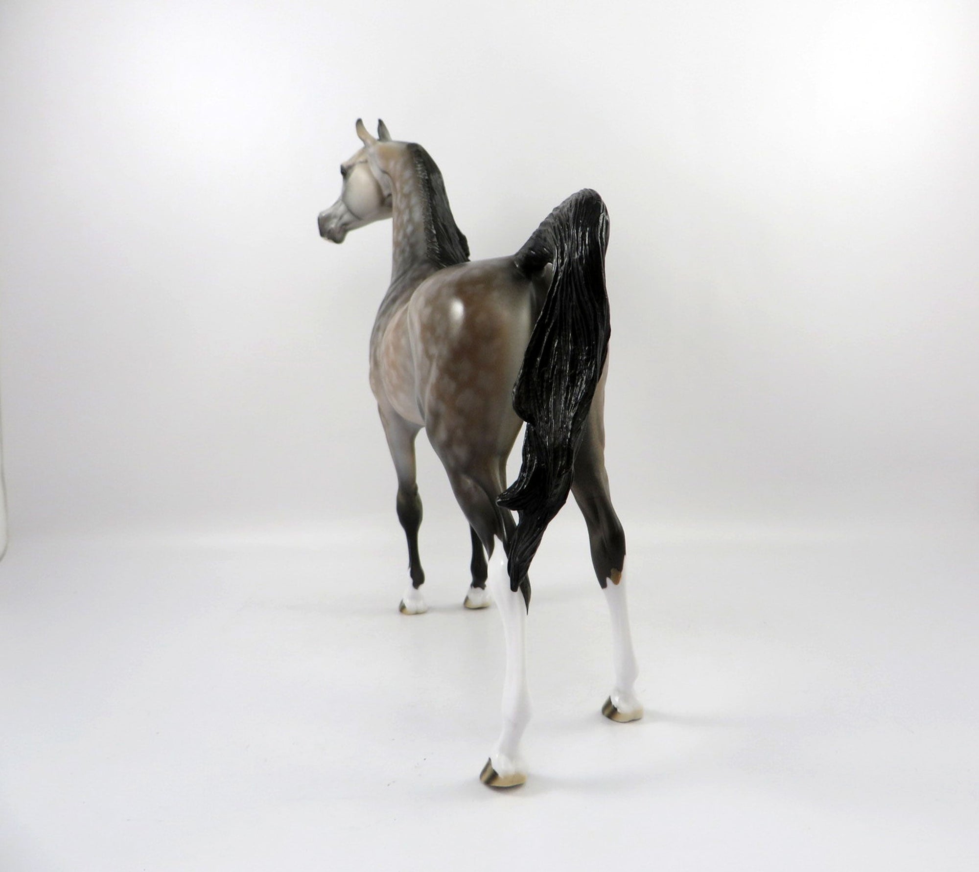 AOIFE-OOAK Dapple Bay Arabian Painted By Dawn Quick 4/13/21