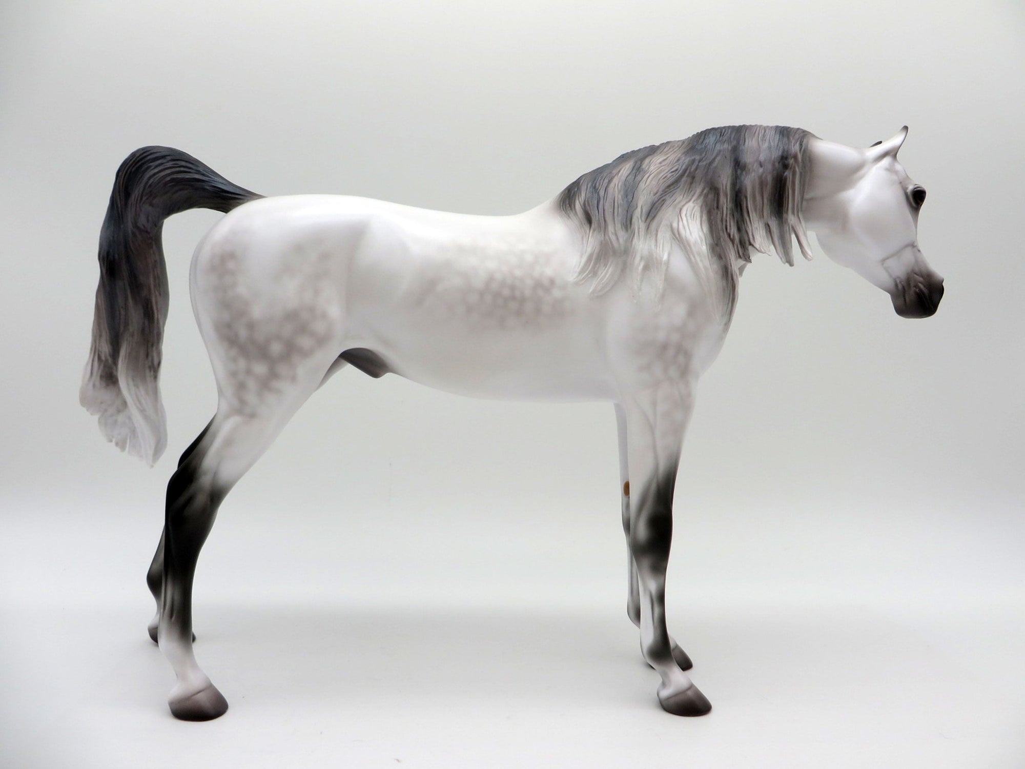 Ararat-OOAK Light Dapple Grey Arabian Painted By Caroline Boydston 6/28/21