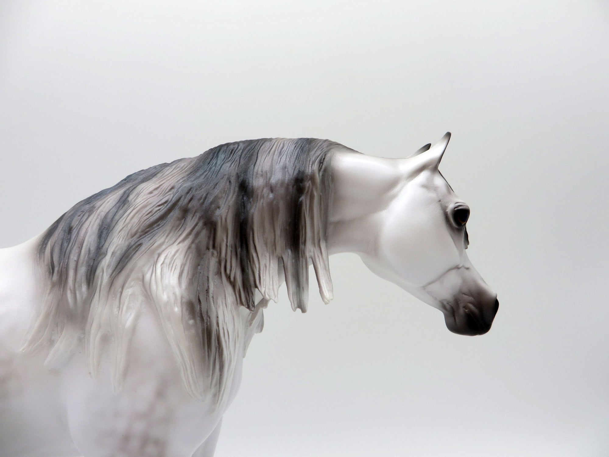 Ararat-OOAK Light Dapple Grey Arabian Painted By Caroline Boydston 6/28/21