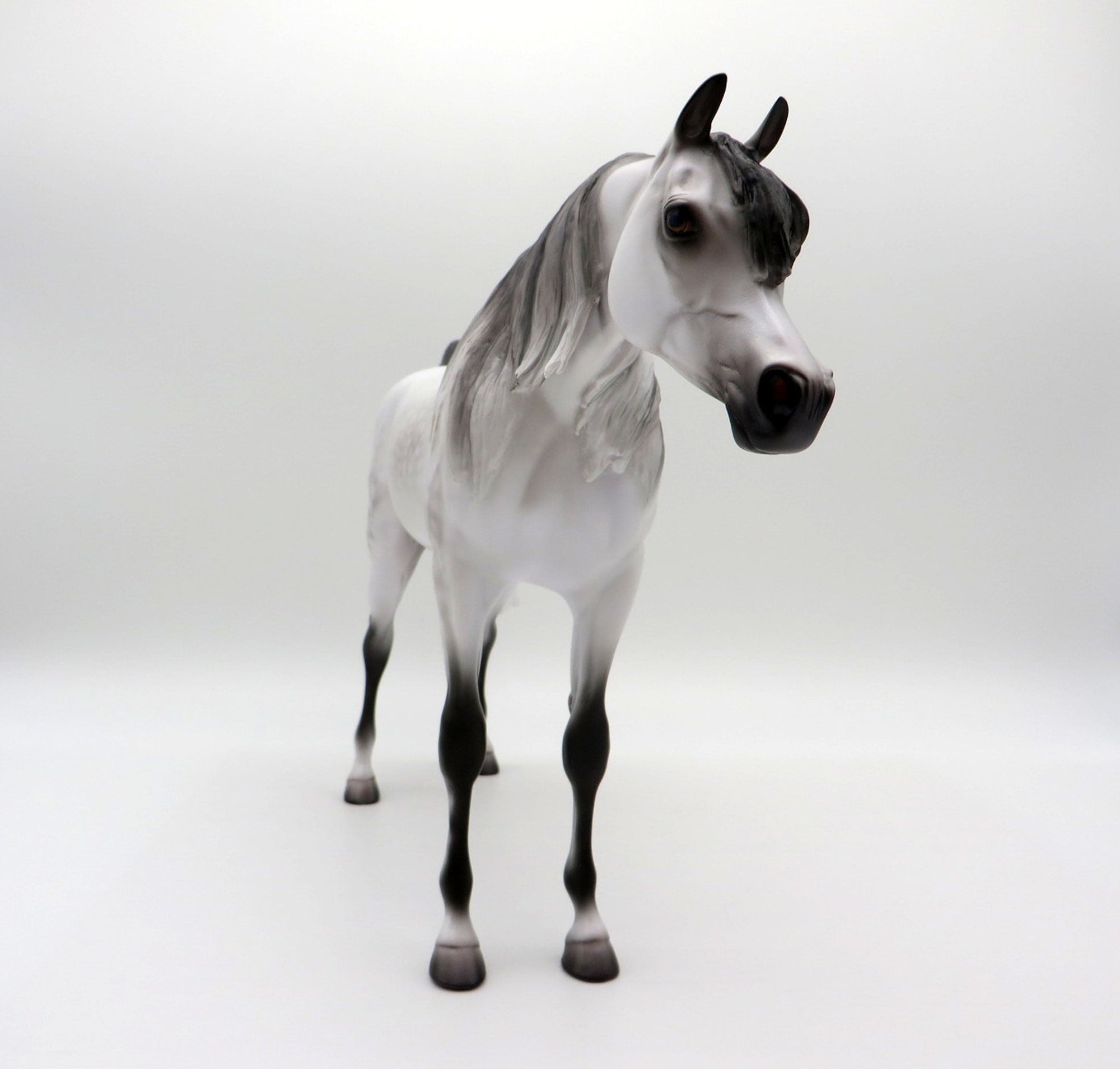 Ararat-OOAK Light Dapple Grey Arabian Painted By Caroline Boydston 6/28/21