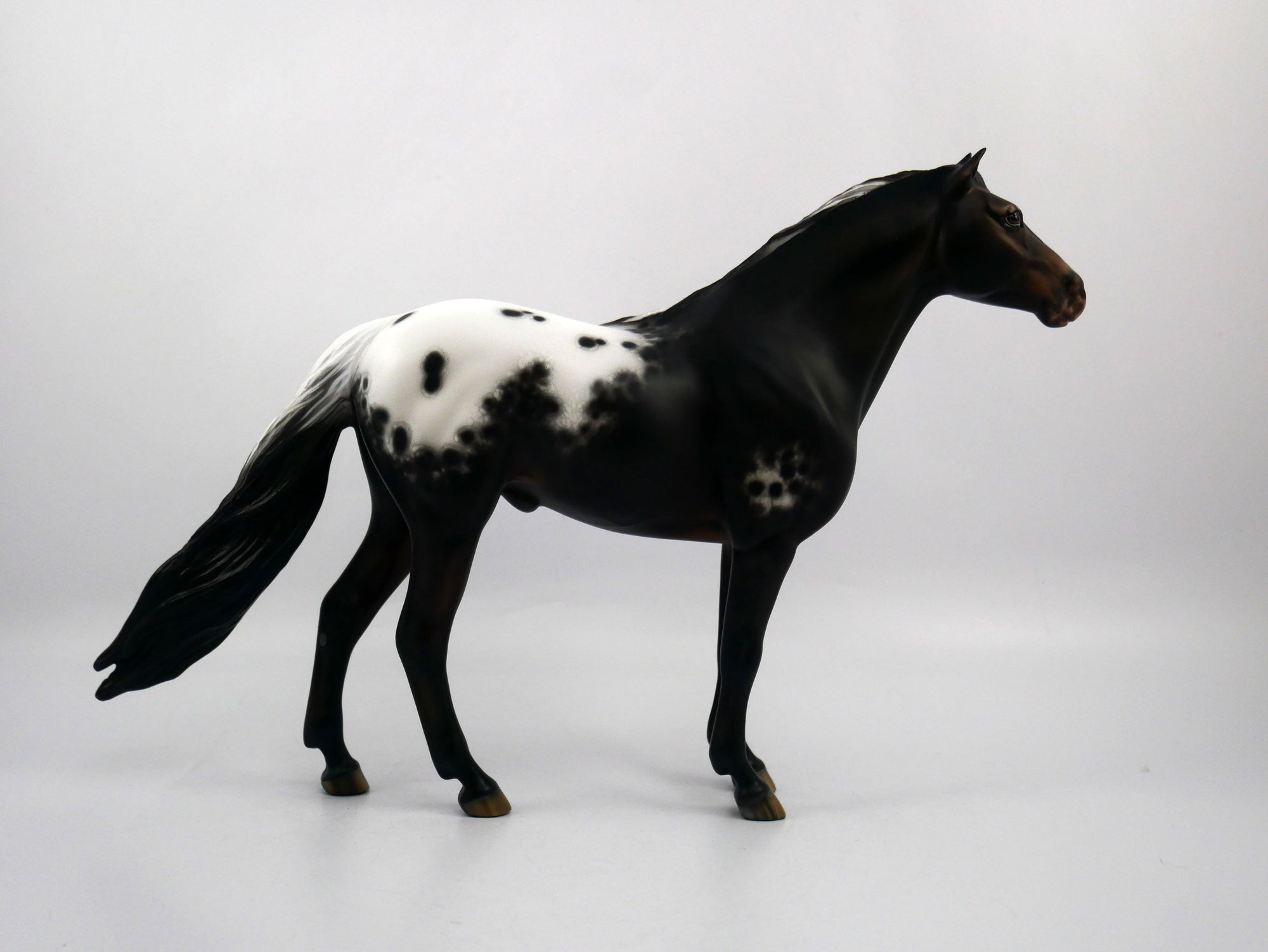 Arnold-OOAK Appaloosa Mustang Painted by Sheryl Leisure 1/20