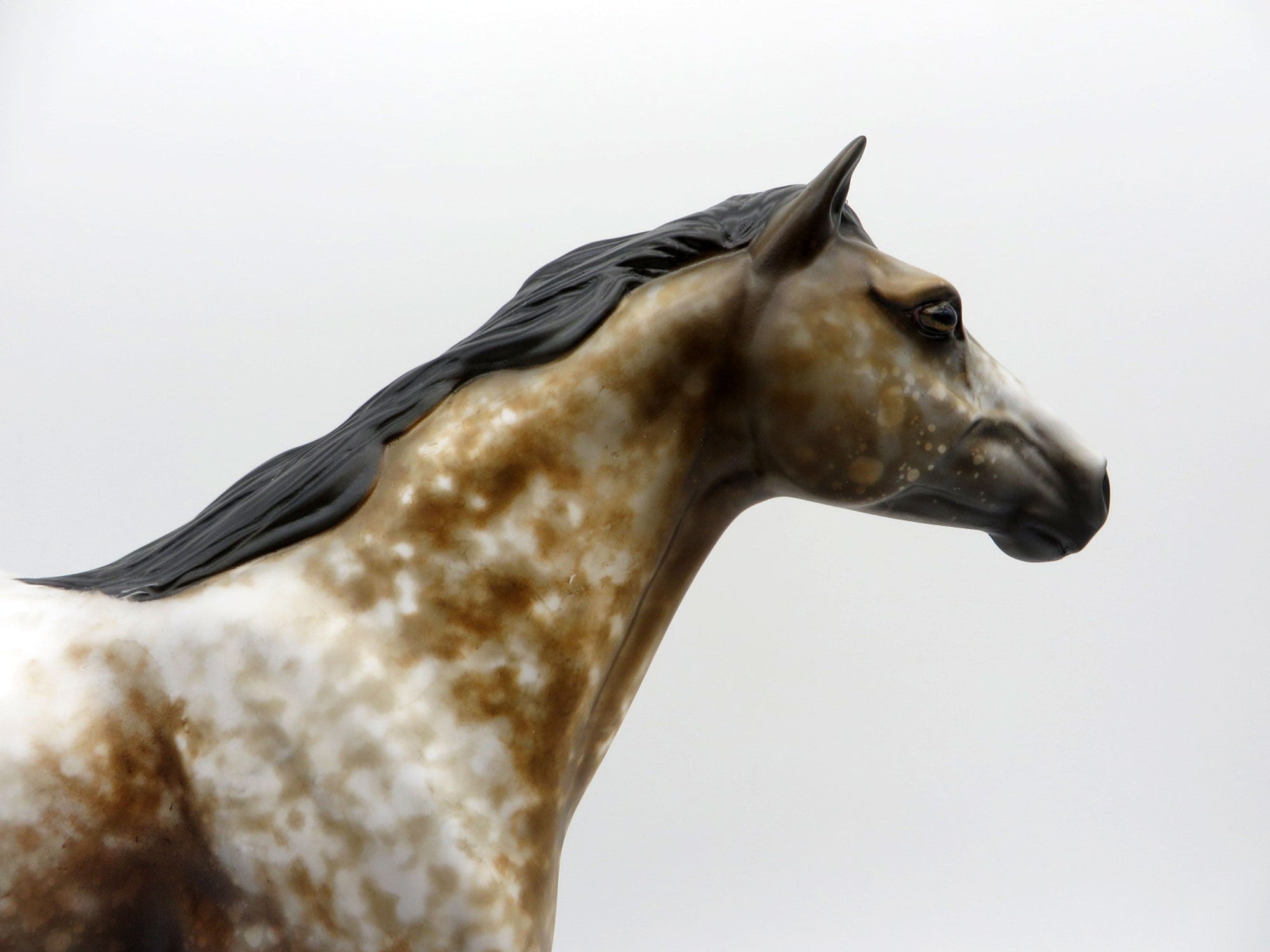 Art-OOAK Buckskin Roan Mustang Painted By Al EQ 21