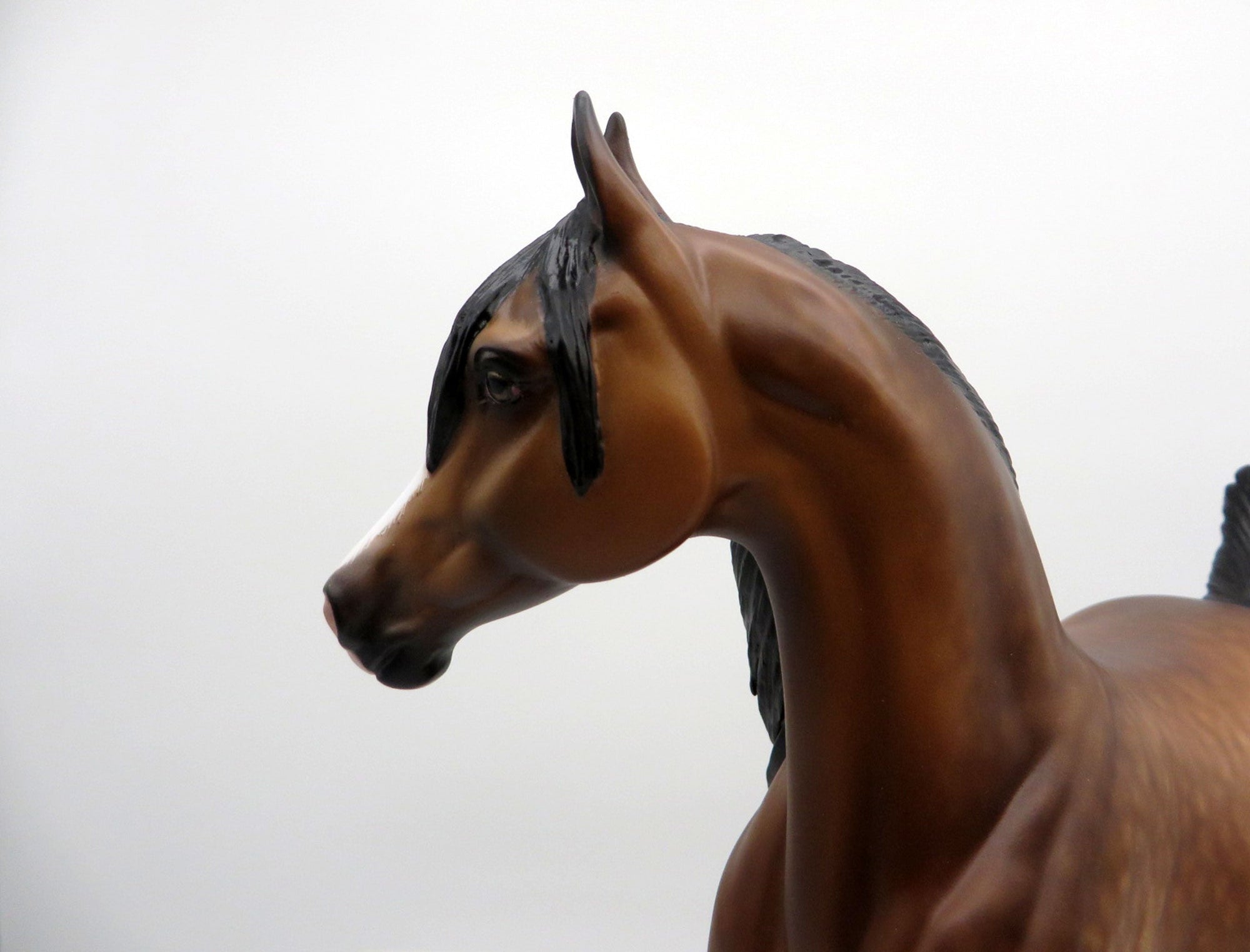 Arwen-OOAK Dapple Bay Arabian Painted by Sheryl Leisure 3/15/21