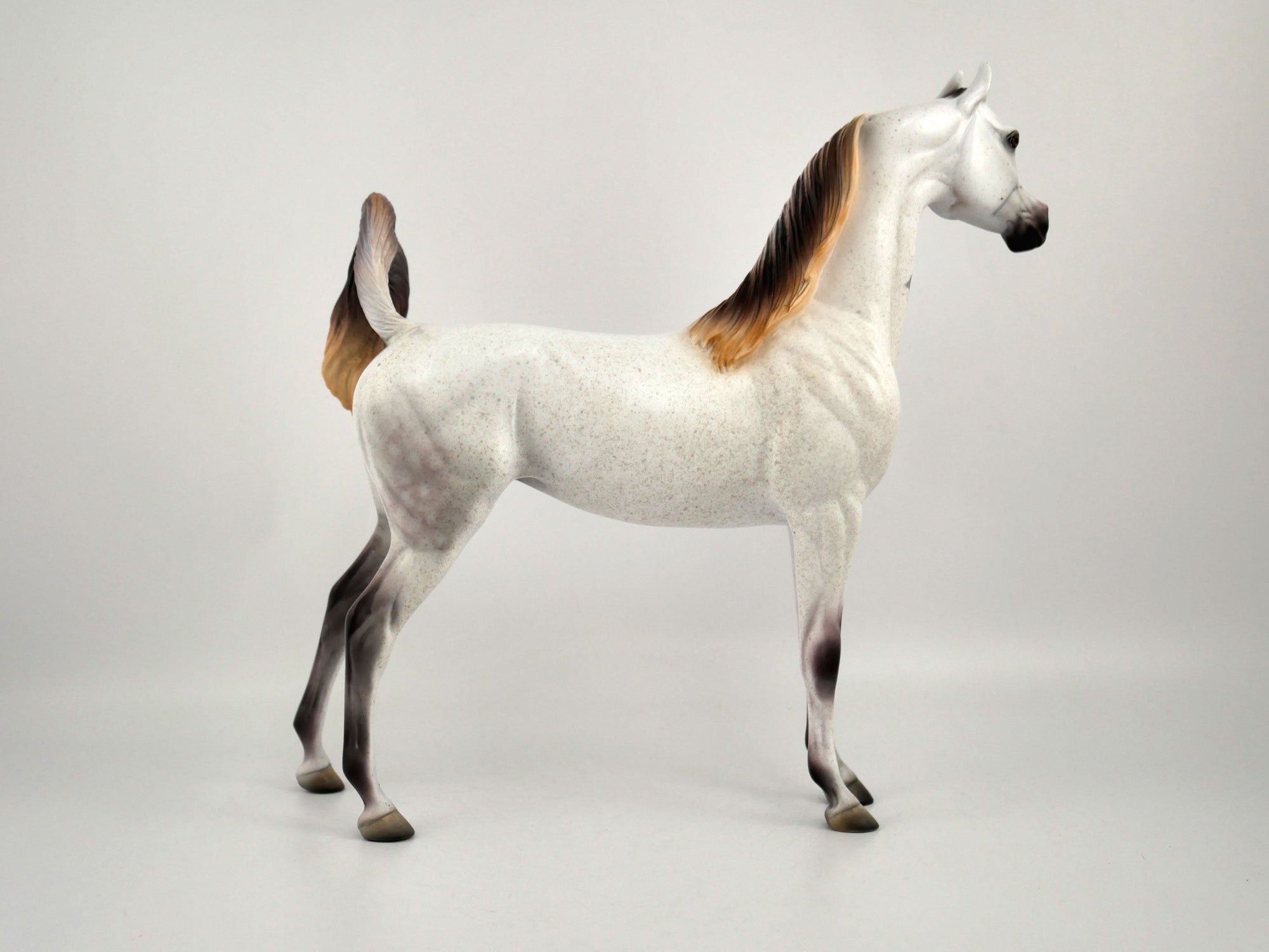 Ashton-OOAK Bloody Shoulder Arabian by Dawn Quick 11/18/20