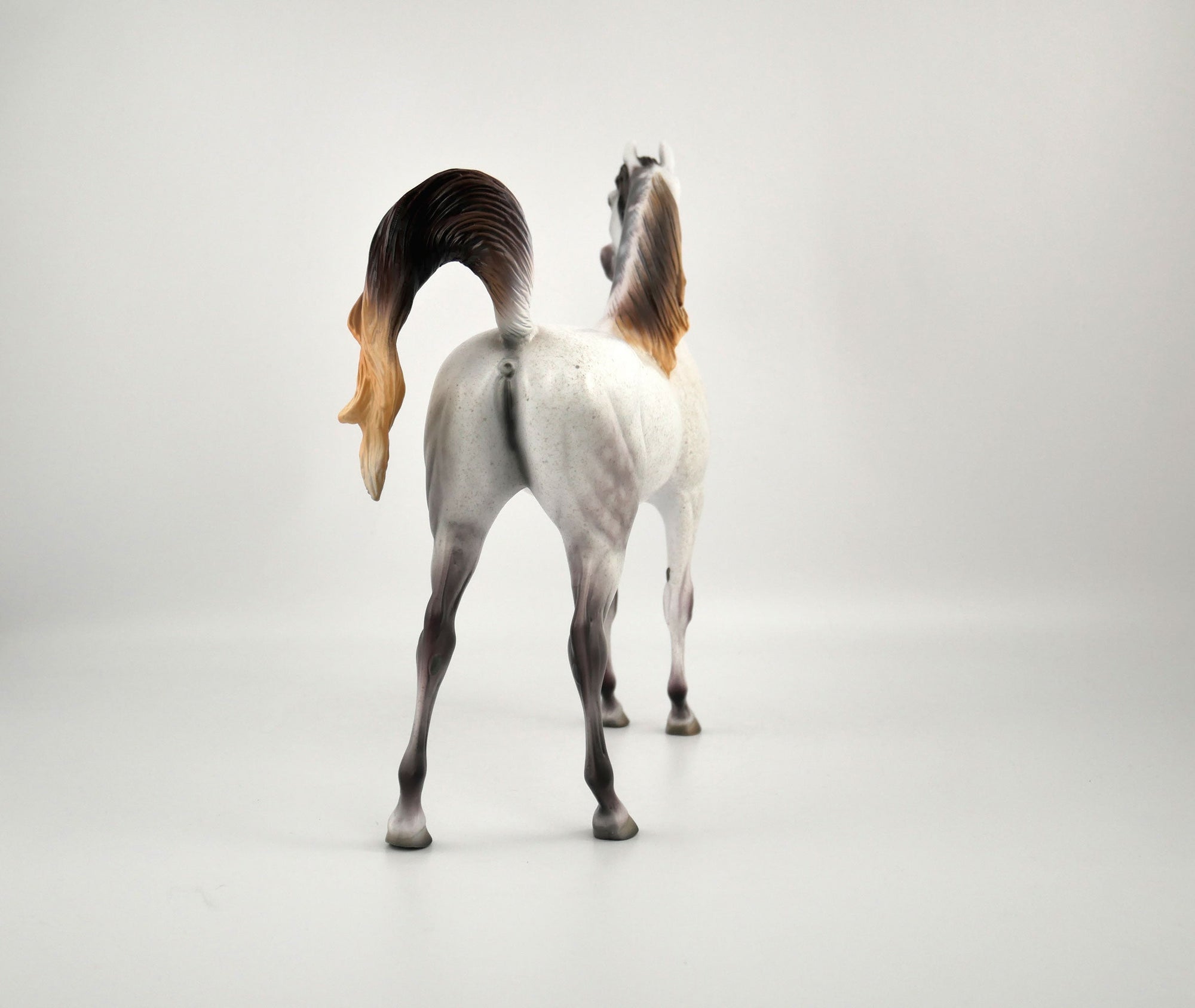 Ashton-OOAK Bloody Shoulder Arabian by Dawn Quick 11/18/20