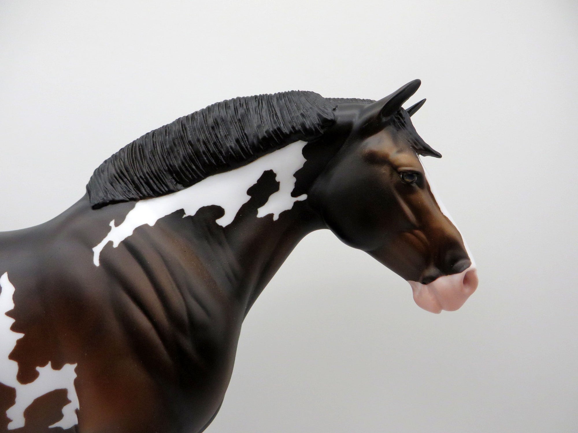 Astar-OOAK Bay Pint Heavy Draft Mare SHCF 2021