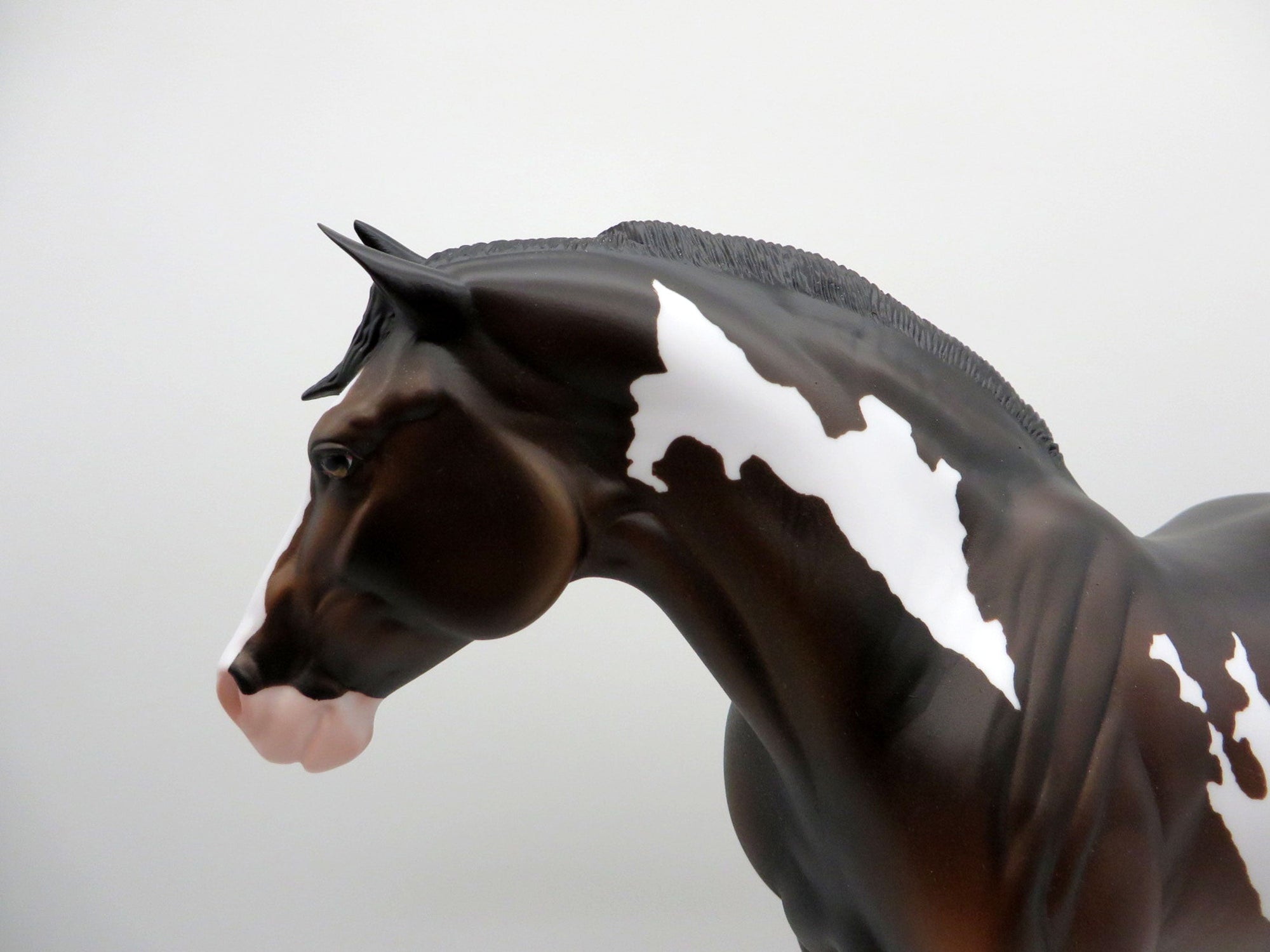 Astar-OOAK Bay Pint Heavy Draft Mare SHCF 2021