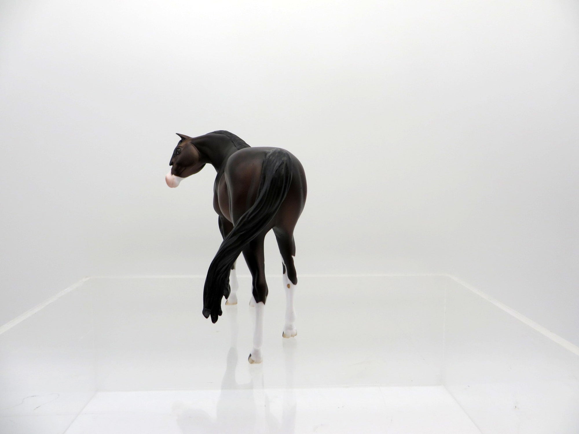 Aster-OOAK Bay Paint Pebbles Arab SHCF2021