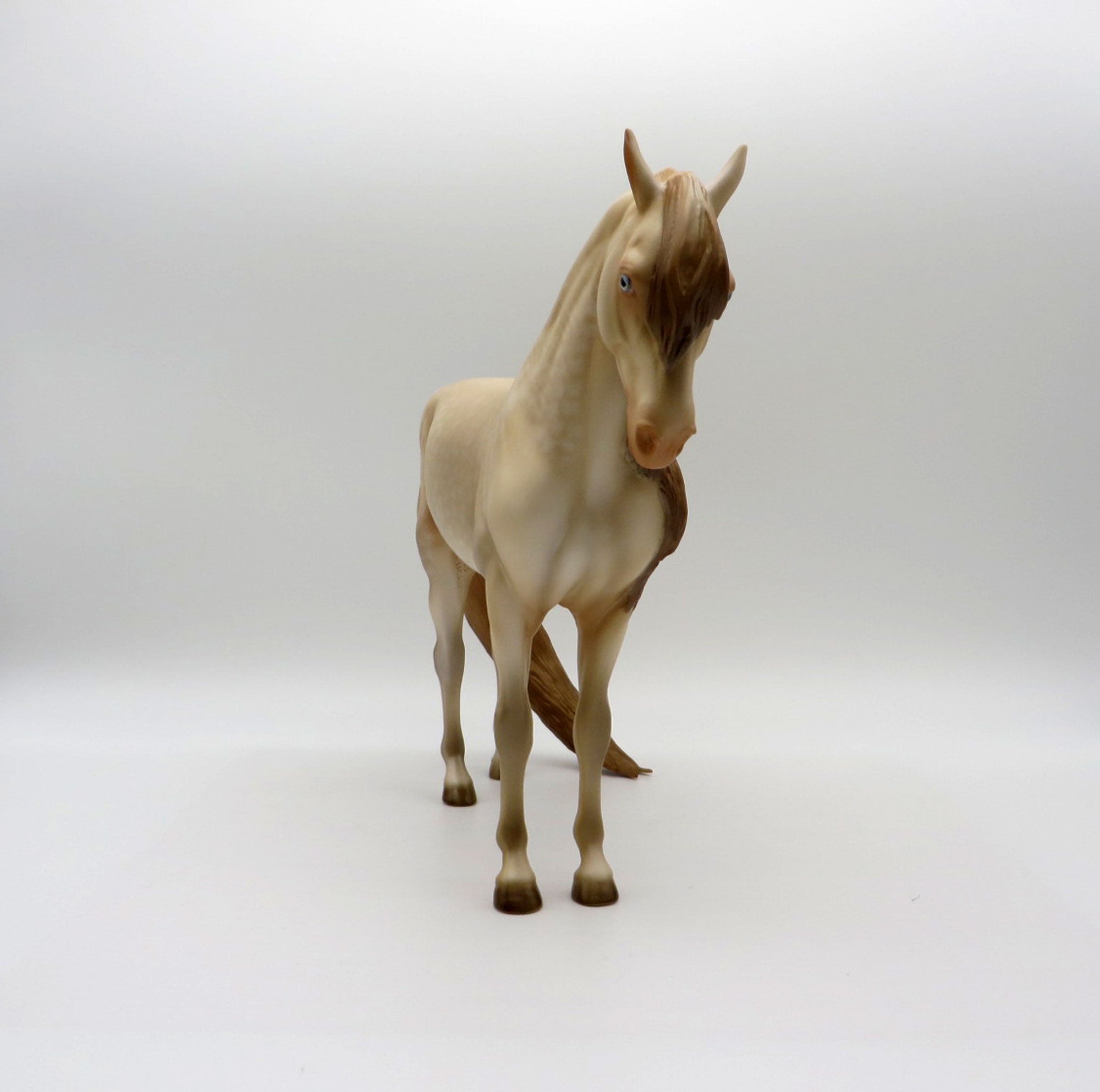 Azalea-OOAK Perlino Andalusian 5/11/21