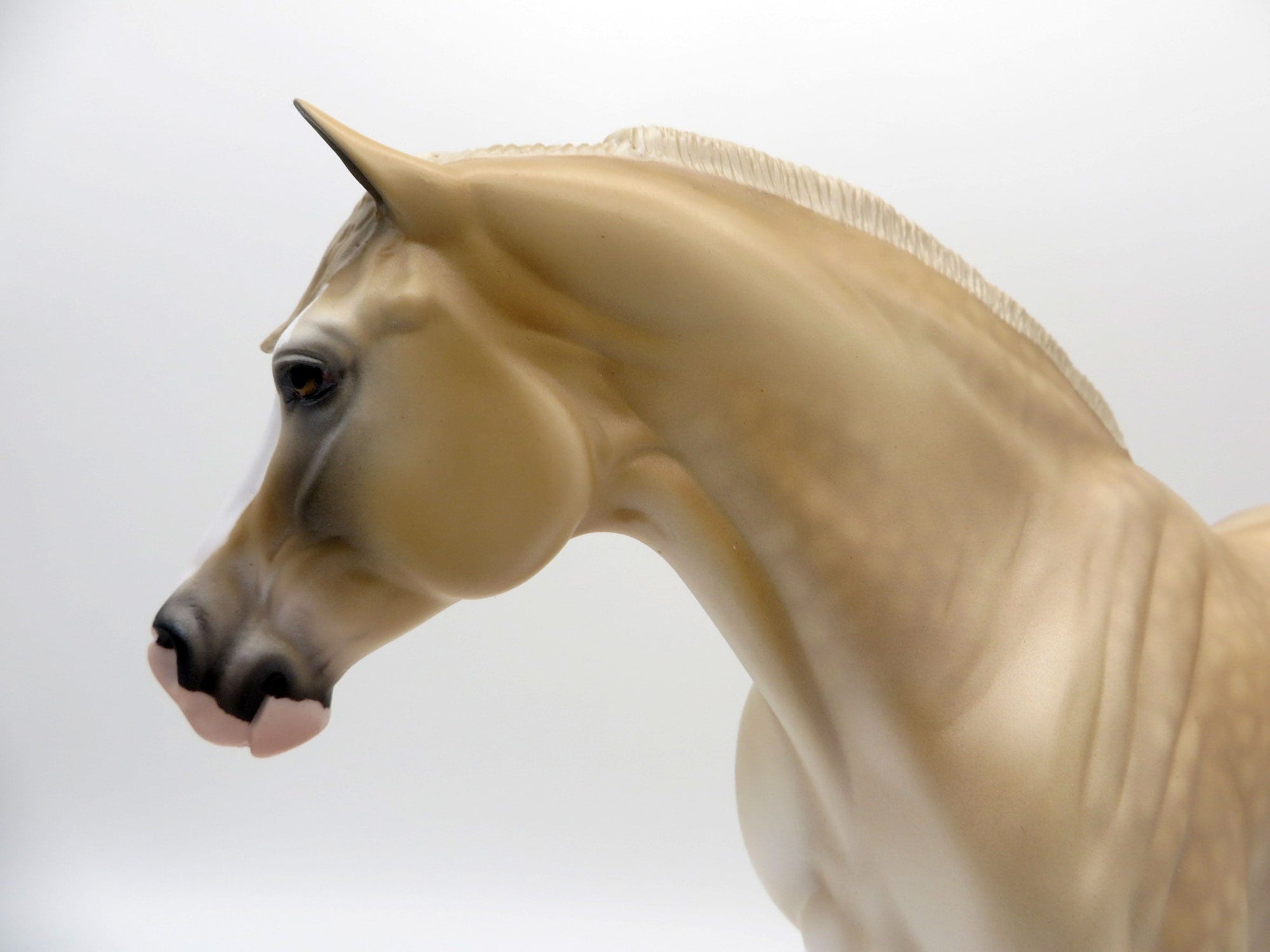 AZALIA-OOAK Blonde Heavy Draft Mare SHCF 2021