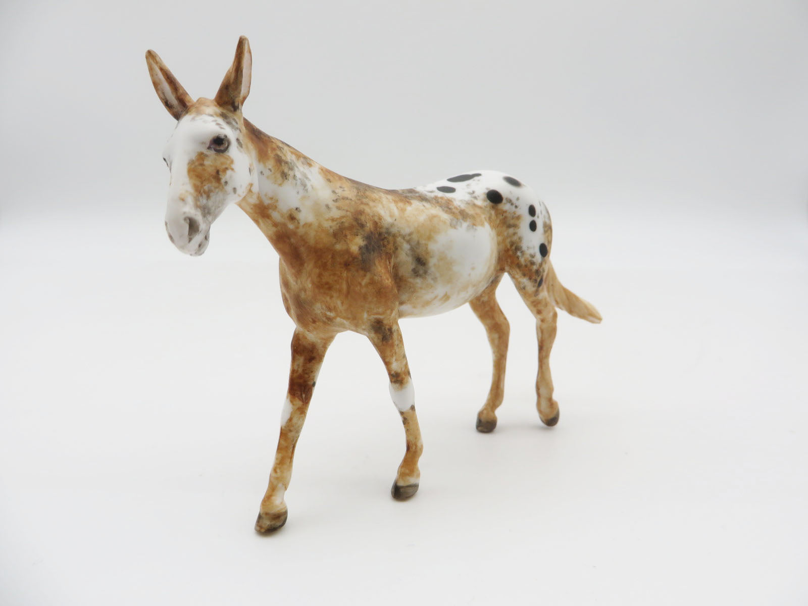 BADLANDS - OOAK Appy Mule Chip LHS 22