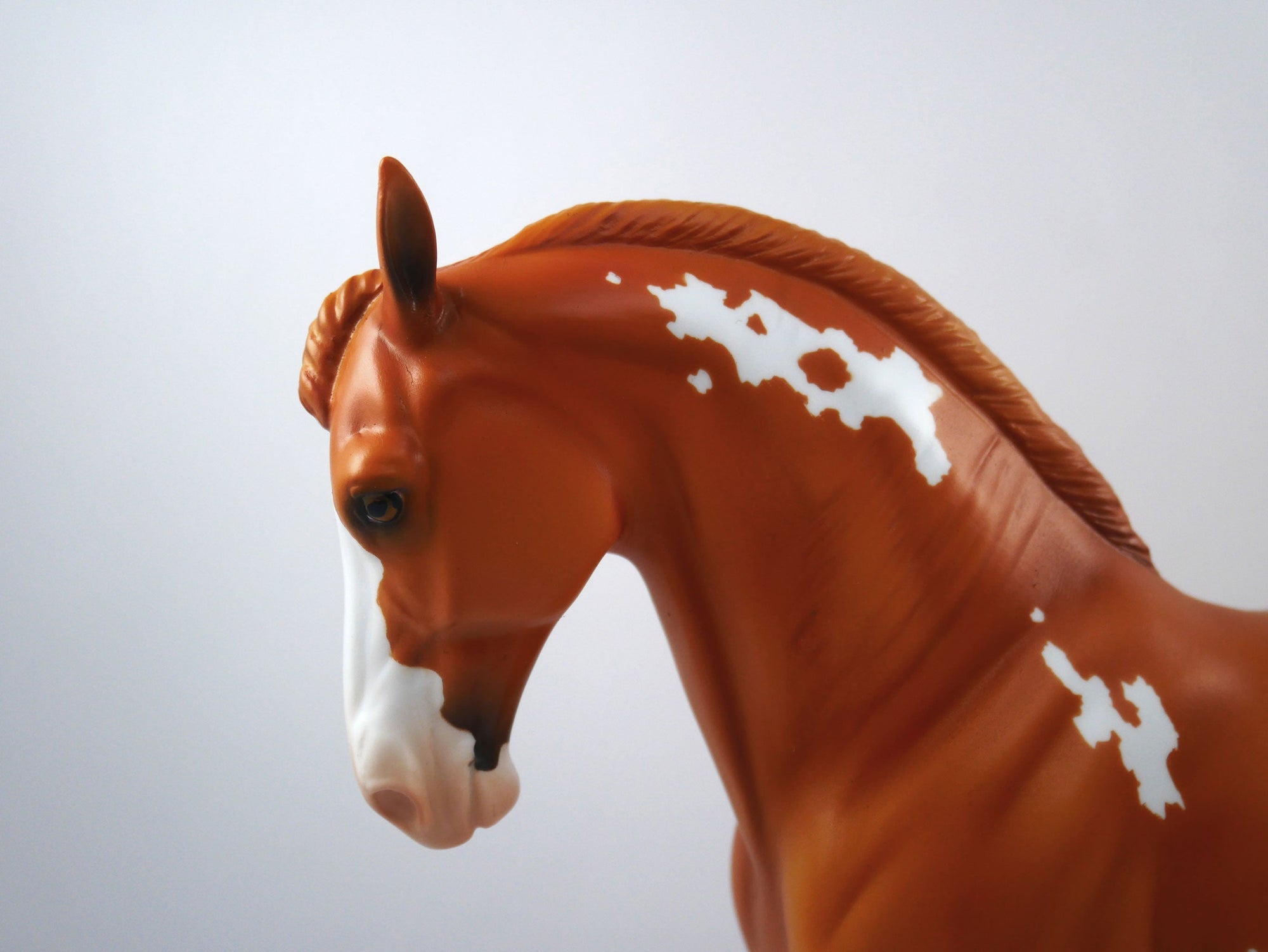 Bad Call-OOAK Chestnut Paint Andalusian SB21