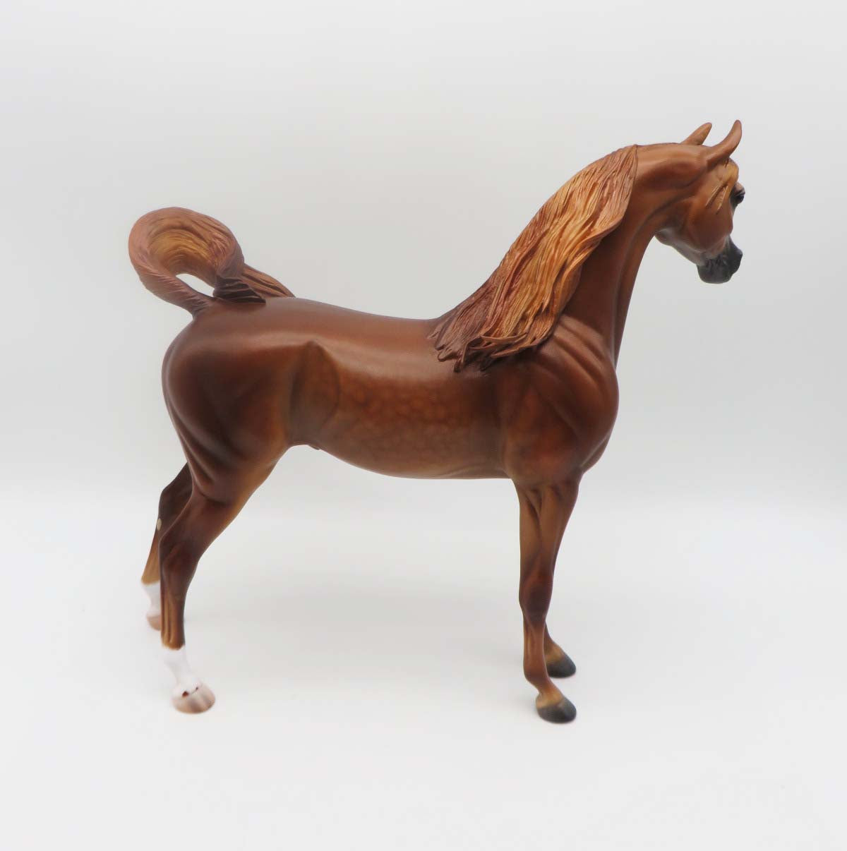 Barrett - OOAK - Dappled Chestnut Arabian By Caroline Boydston BEST OFFER 3/13/23