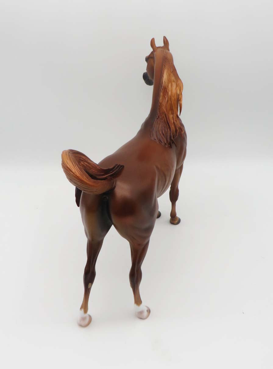 Barrett - OOAK - Dappled Chestnut Arabian By Caroline Boydston BEST OFFER 3/13/23