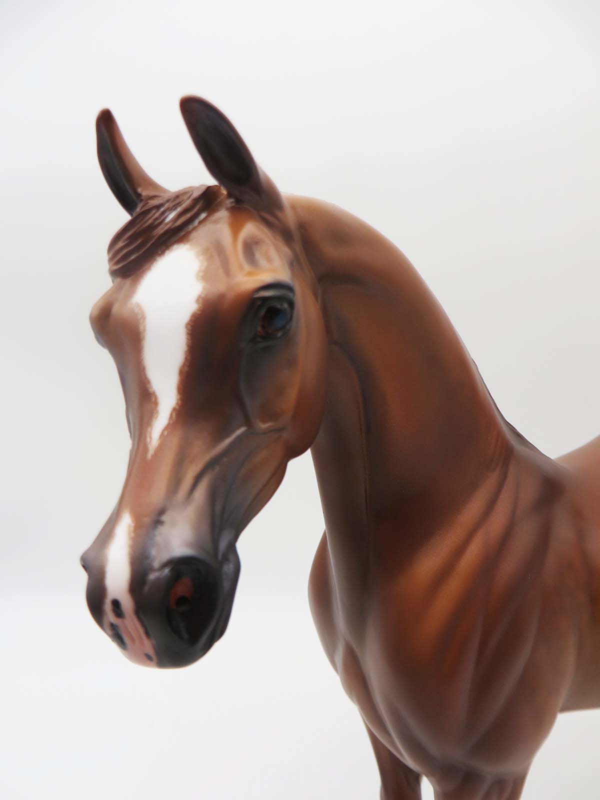 Barrett - OOAK - Dappled Chestnut Arabian By Caroline Boydston BEST OFFER 3/13/23