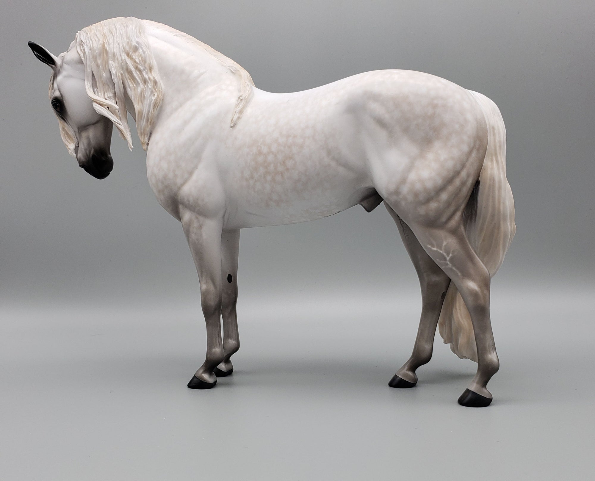 Barry OOAK Dappled Grey Andalusian By Sheryl Leisure Best Offers 6/12/23