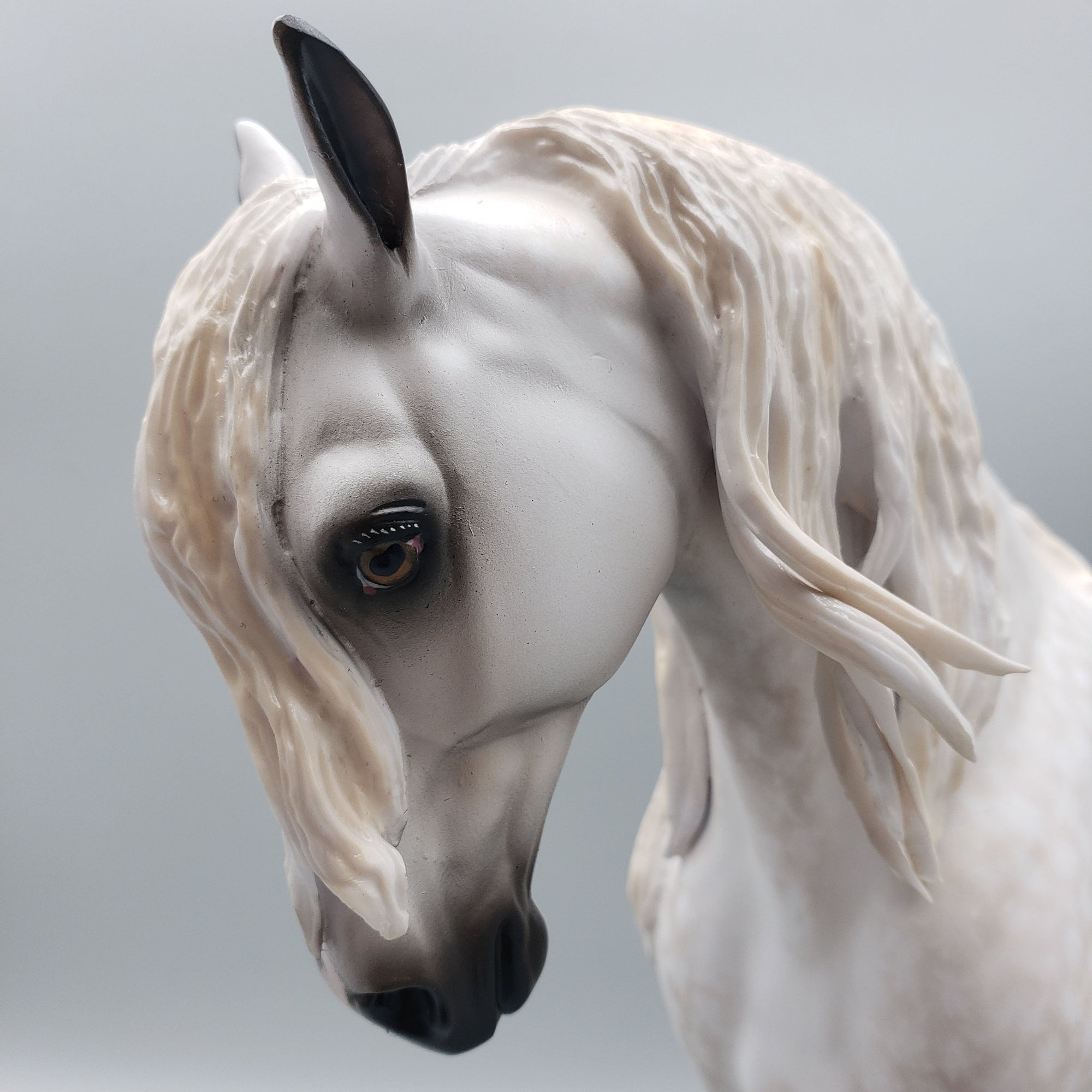 Barry OOAK Dappled Grey Andalusian By Sheryl Leisure Best Offers 6/12/23