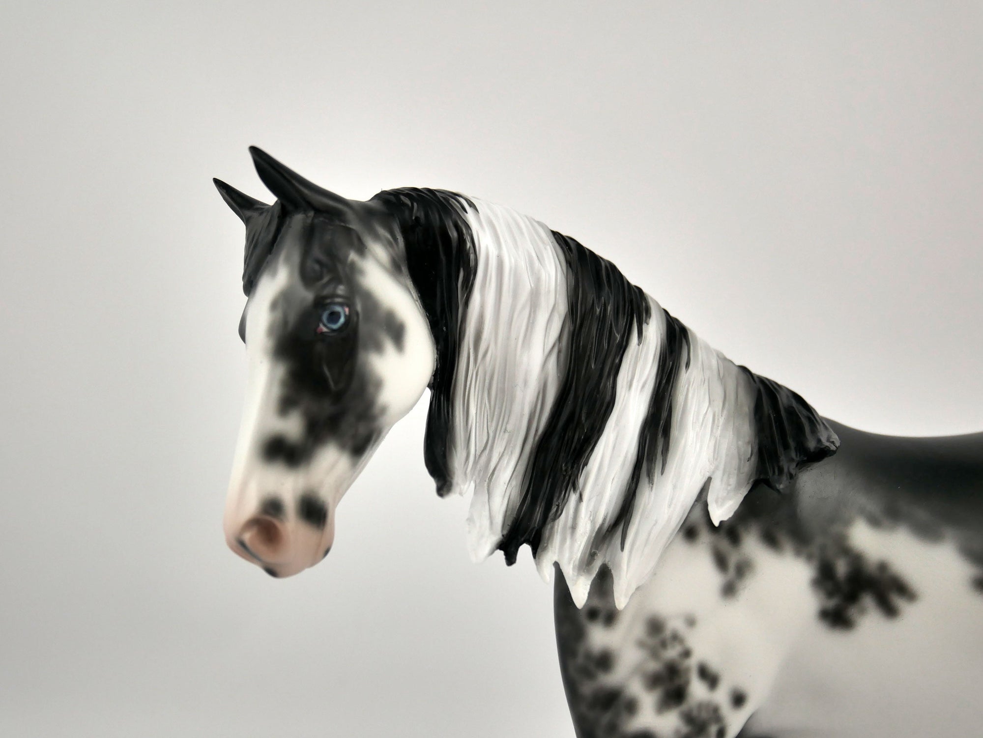 BARTHOLOMEW -OOAK BLACK SABINO PONY MODEL HORSE BY SHERYL LEISURE 11/24/20