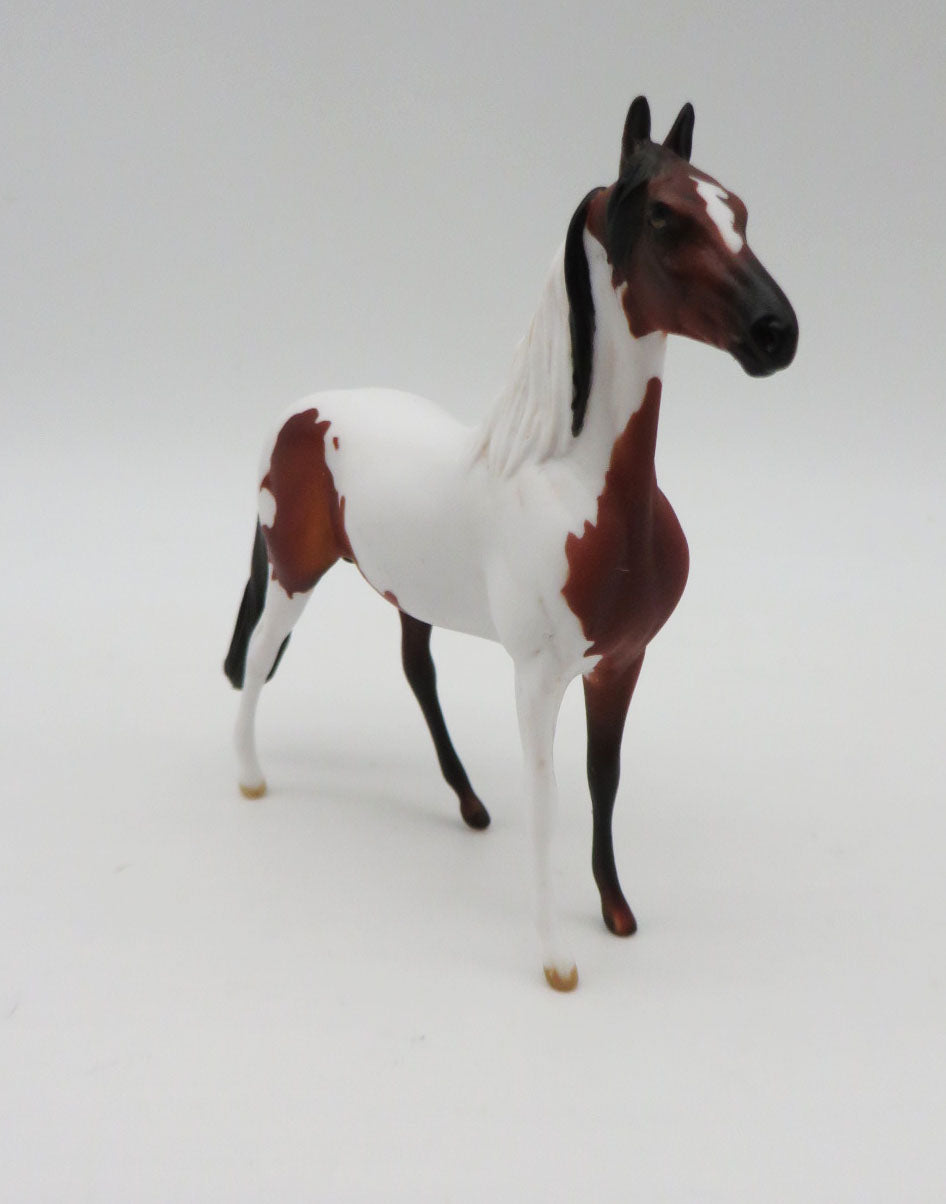 Bau Bau-OOAK Morgan Pinto Chip By Dawn Quick P&C 23