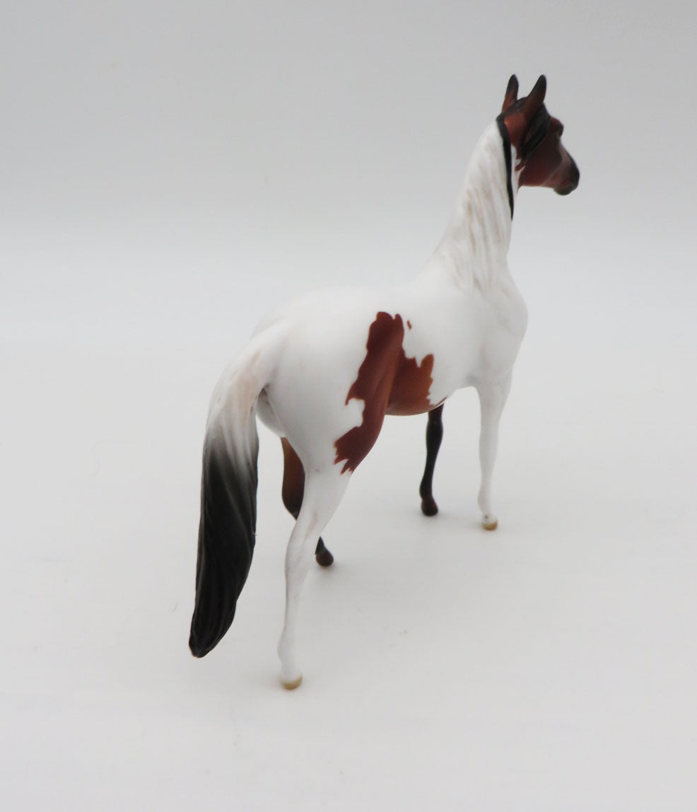 Bau Bau-OOAK Morgan Pinto Chip By Dawn Quick P&C 23