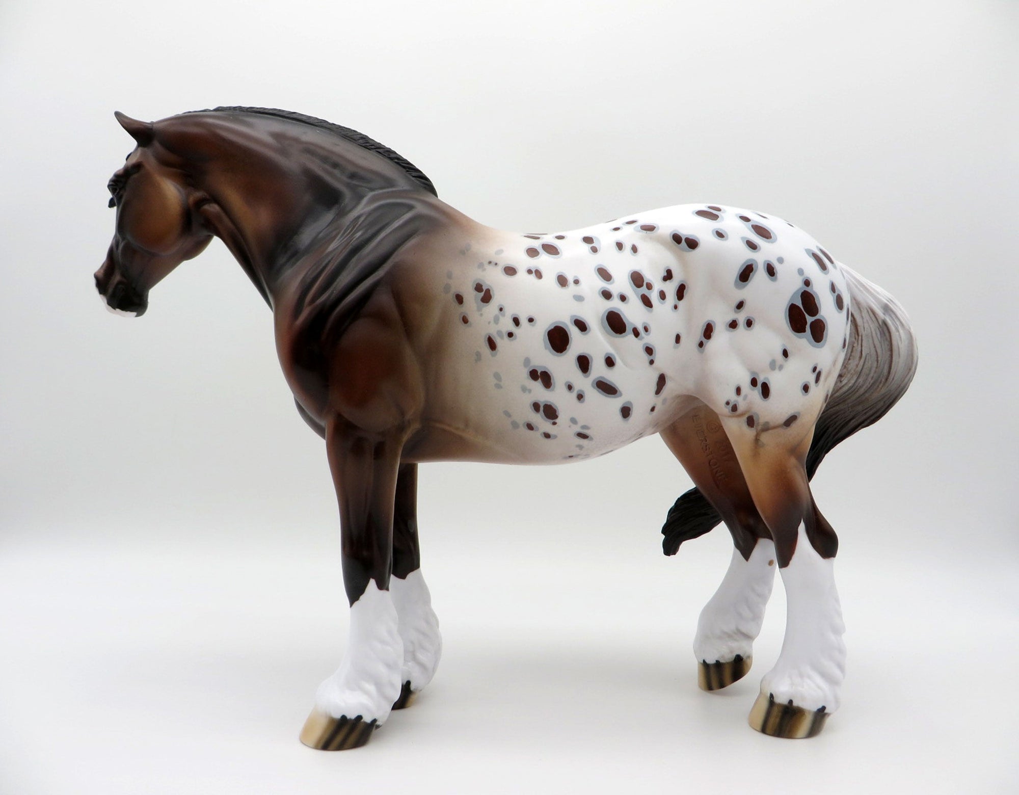Bayu-OOAK Bay Appaloosa Heavy Drafter SHCF 2021