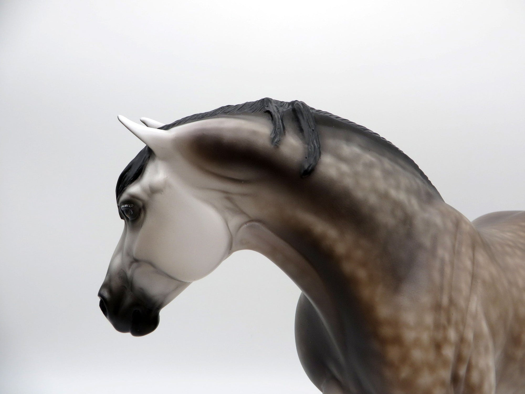 Beach Baby-OOAK Dapple Grey Heavy Draft Mare Painted by Sheryl Leisure 8/9/21