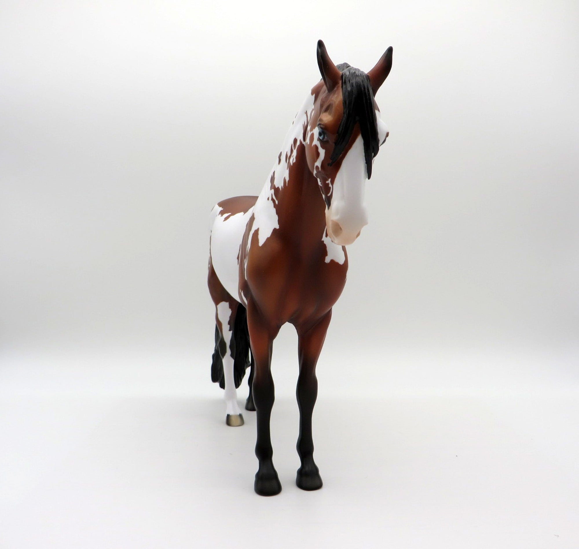 Beardsley-LE-15 Bay Pinto Andalusian Painted By Ellen Robbins EQ 2021