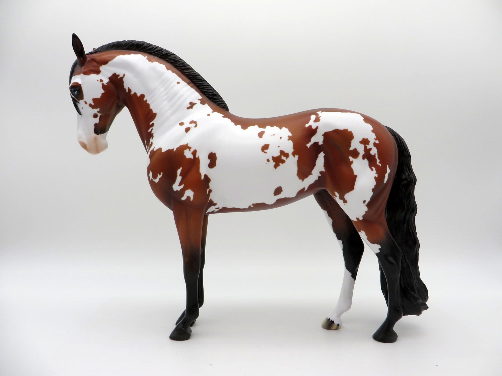 Beardsley-LE-15 Bay Pinto Andalusian Painted By Ellen Robbins EQ 2021