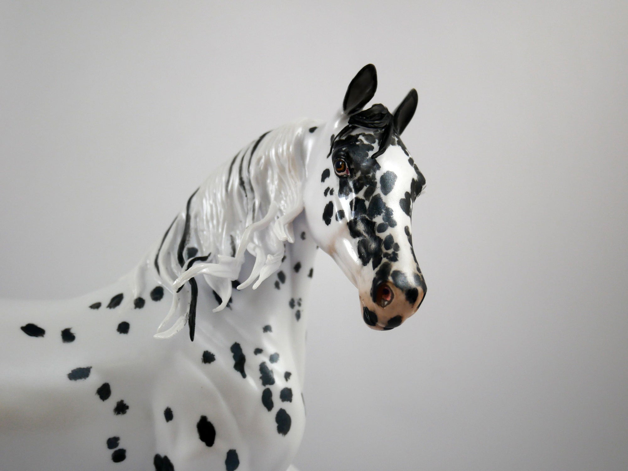Beauty Spots-OOAK Appaloosa Arabian Mare Painted By Elaine Stone 1/8/21