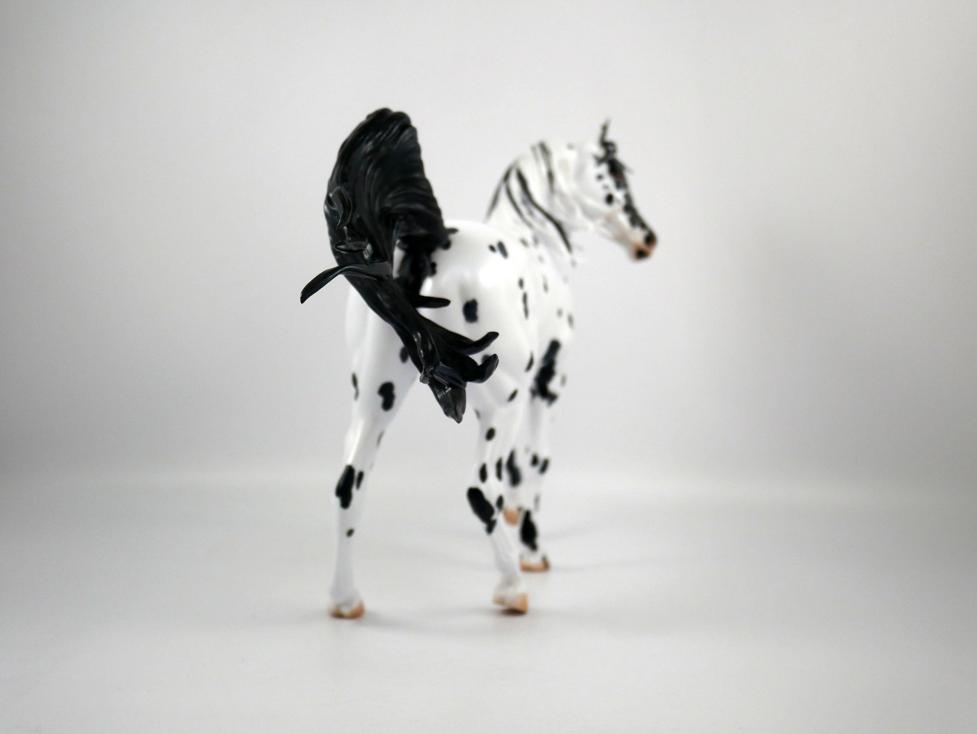 Beauty Spots-OOAK Appaloosa Arabian Mare Painted By Elaine Stone 1/8/21