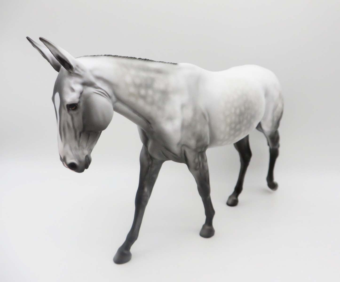 Velda - OOAK - Dapple Grey Mule By Dawn Quick - P&C 23