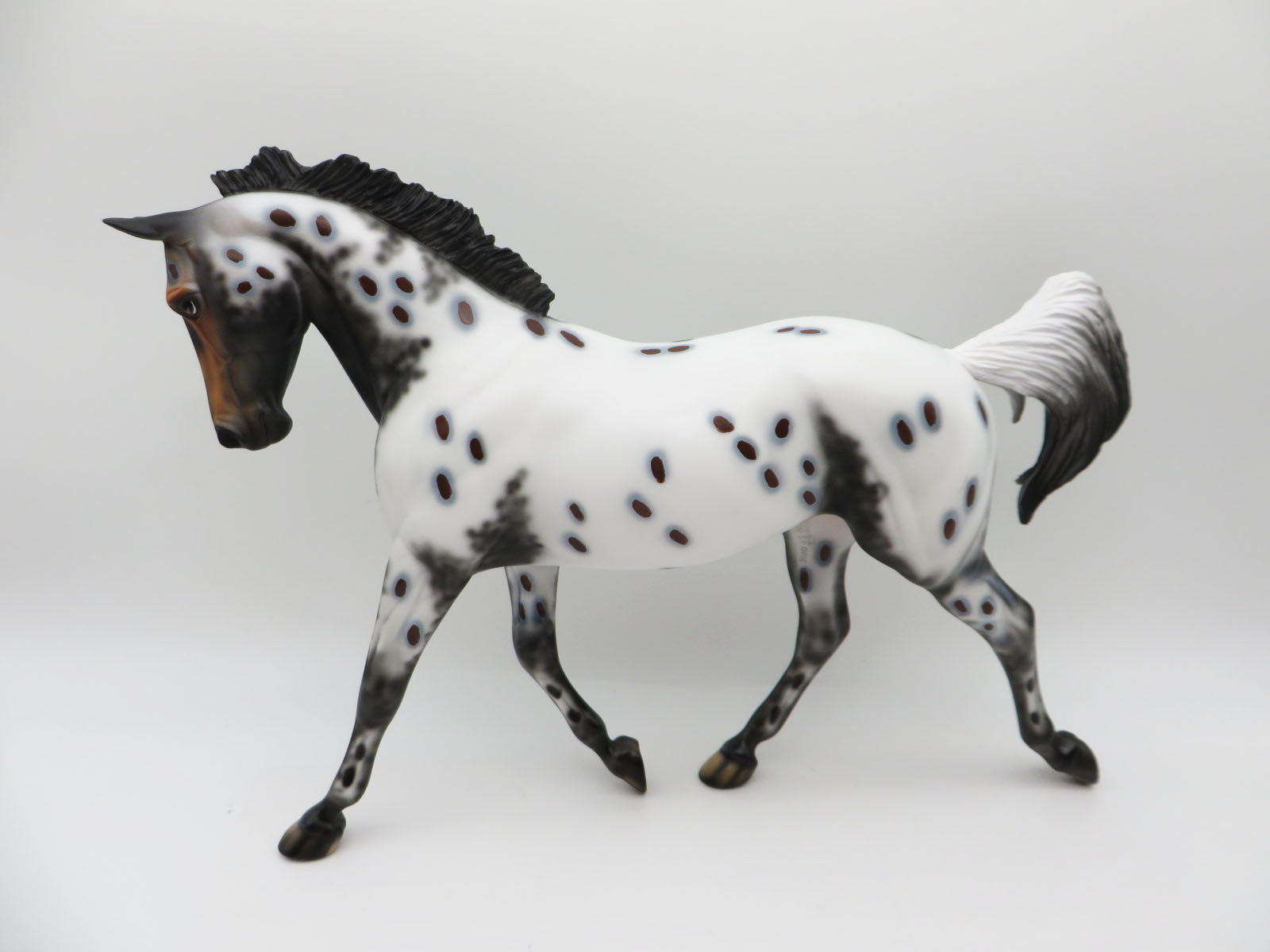 Bella-LE-8 Bay Appaloosa Palouse By Dawn Quick P&C 23