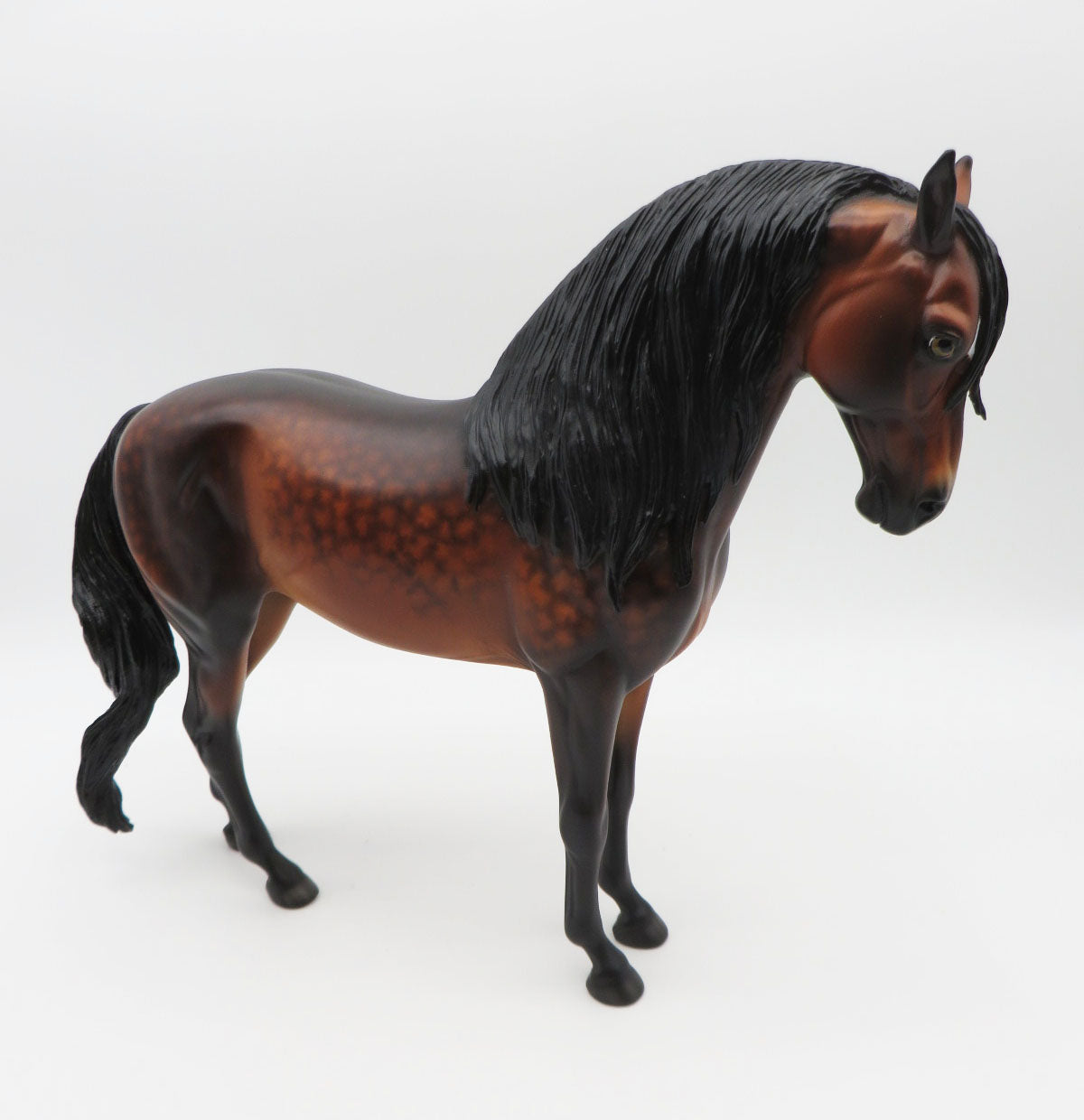 Ben - OOAK - Dappled Bay Andalusian by Sheryl Leisure - Best Offers 12/12/22