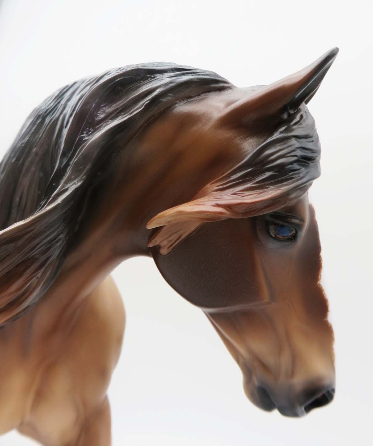 Berry - OOAK Bay Roan Irish Draft By Caroline Boydston 3/17/23