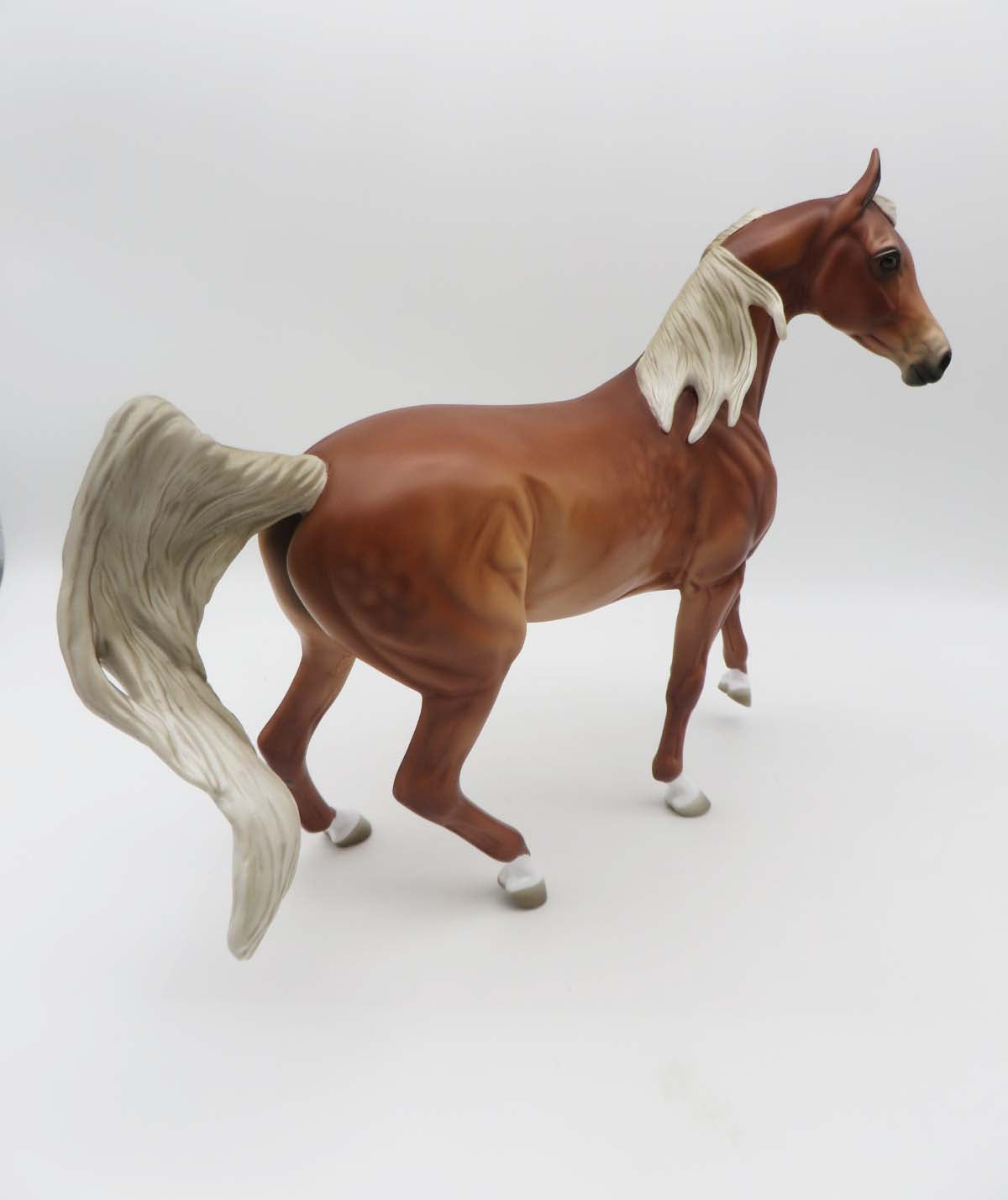 Beth LE 10 Dappled Chestnut with Flaxen Mane and Tail By Jess Hamill SHCF23