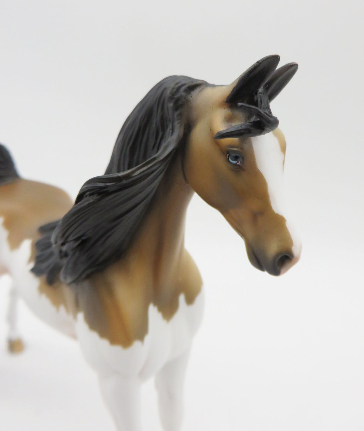 Bhao-OOAK Buckskin Splash Pebbles Saddlebred P&C 23