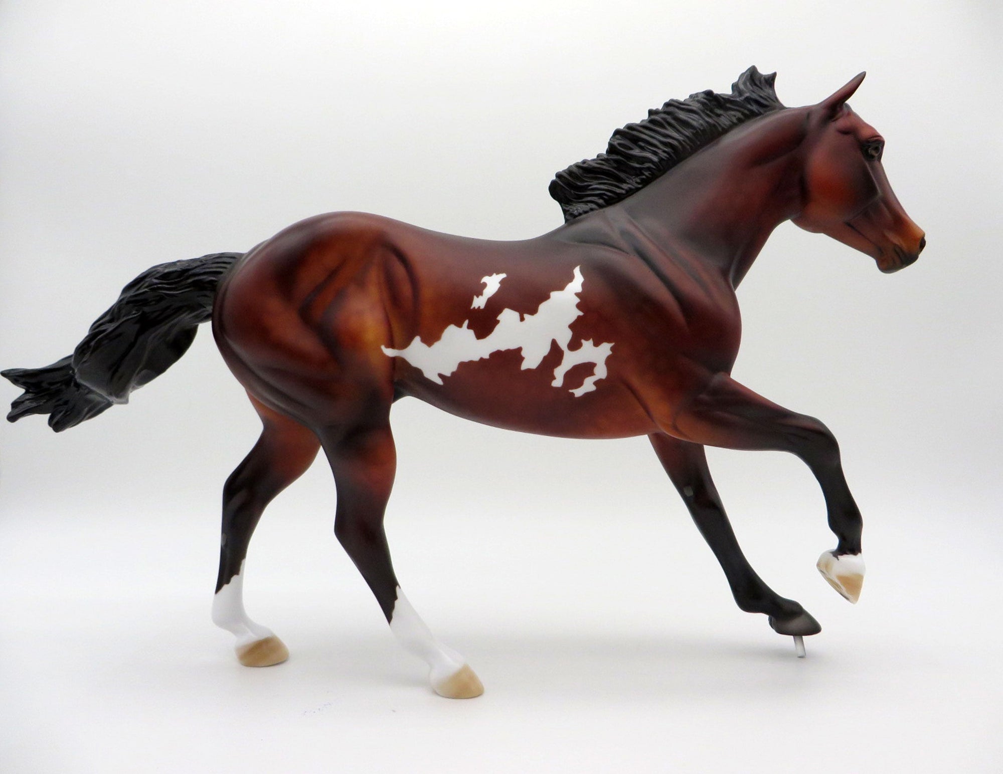 Bill of Rights | Dapple Bay Overo Stock Horse by Dawn Quick | 7/1/21