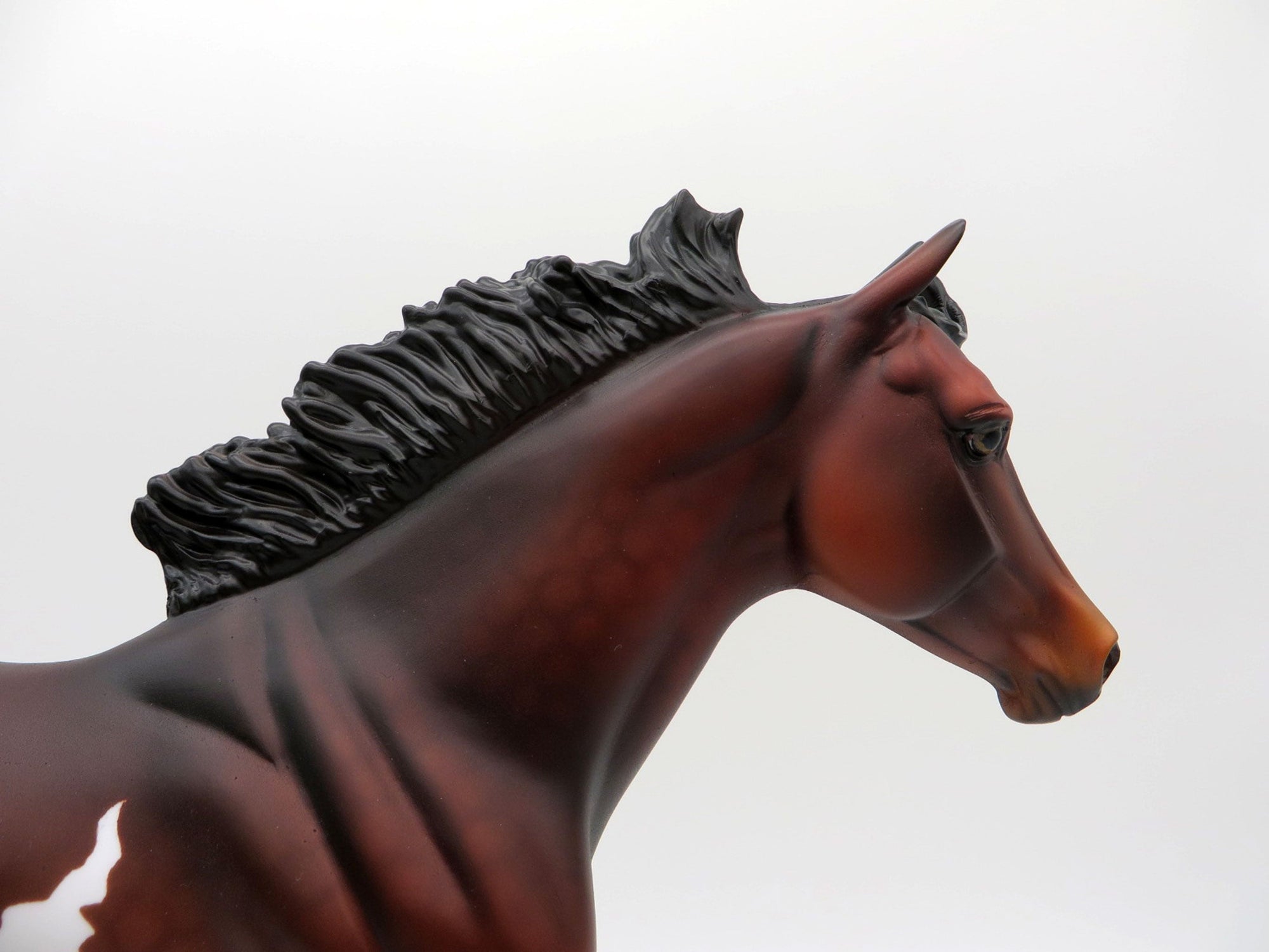 Bill of Rights | Dapple Bay Overo Stock Horse by Dawn Quick | 7/1/21