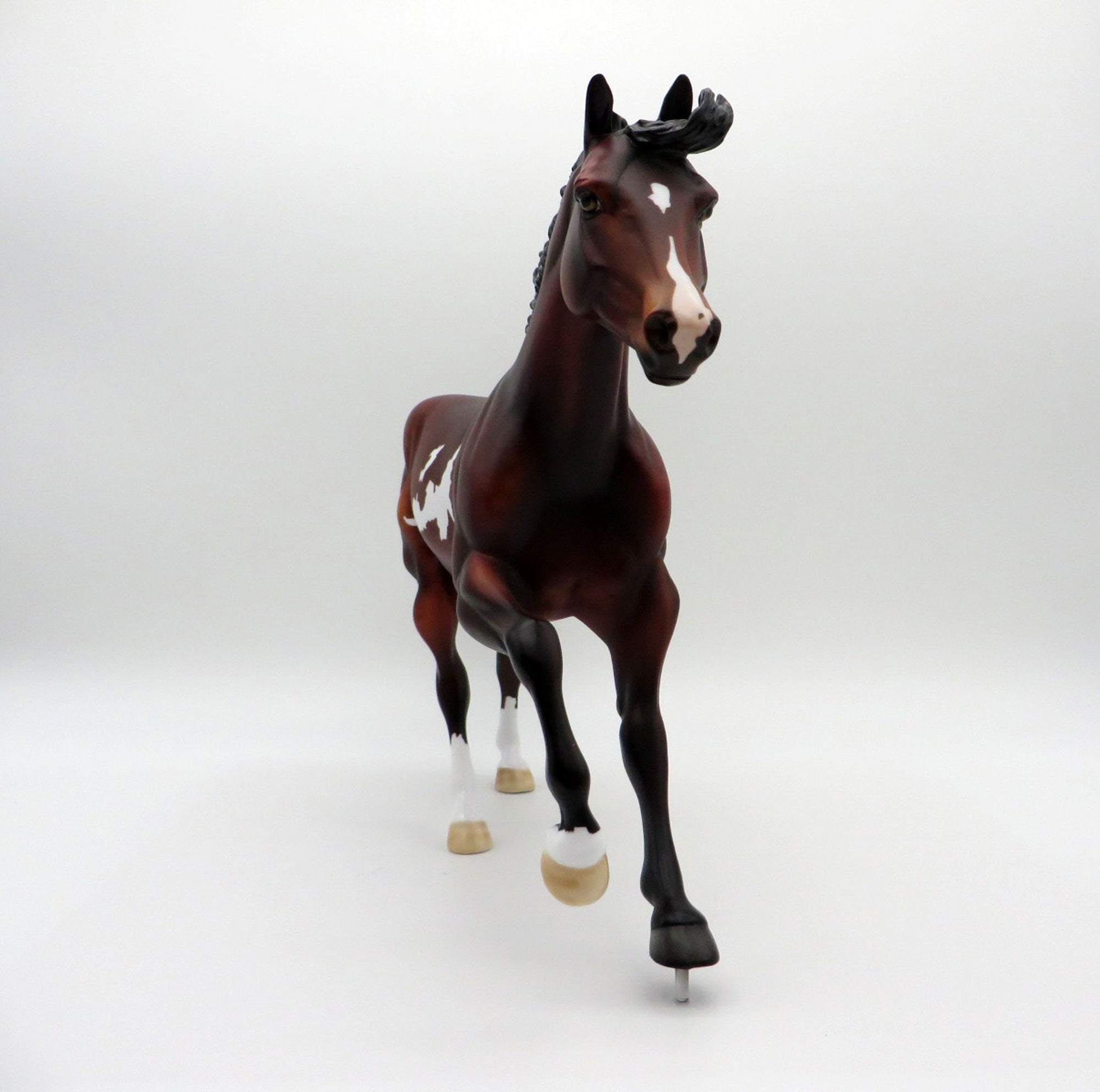 Bill of Rights | Dapple Bay Overo Stock Horse by Dawn Quick | 7/1/21