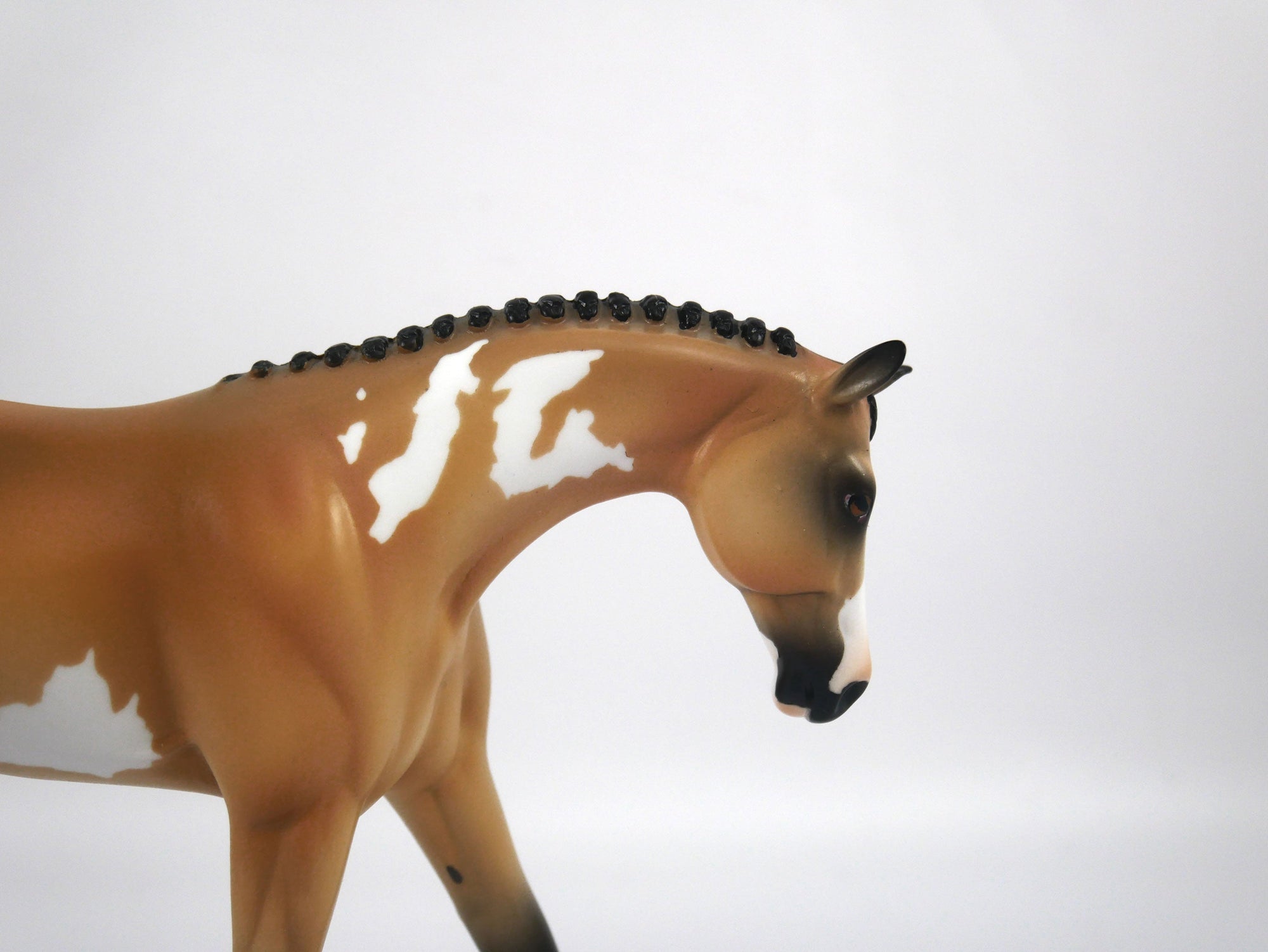 Billy Bob-OOAK Buckskin Warmblood Paint by Ellen 1/29/21