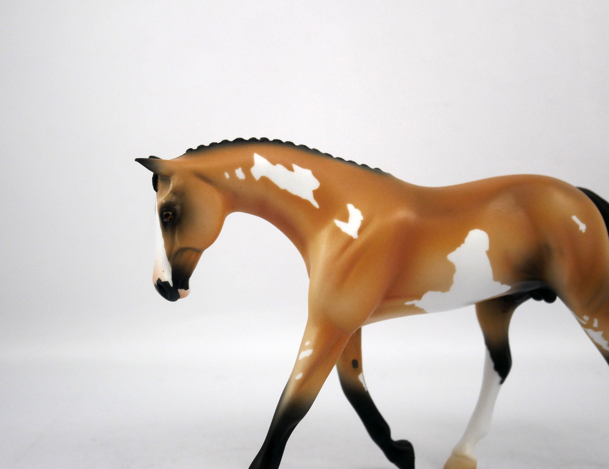 Billy Bob-OOAK Buckskin Warmblood Paint by Ellen 1/29/21