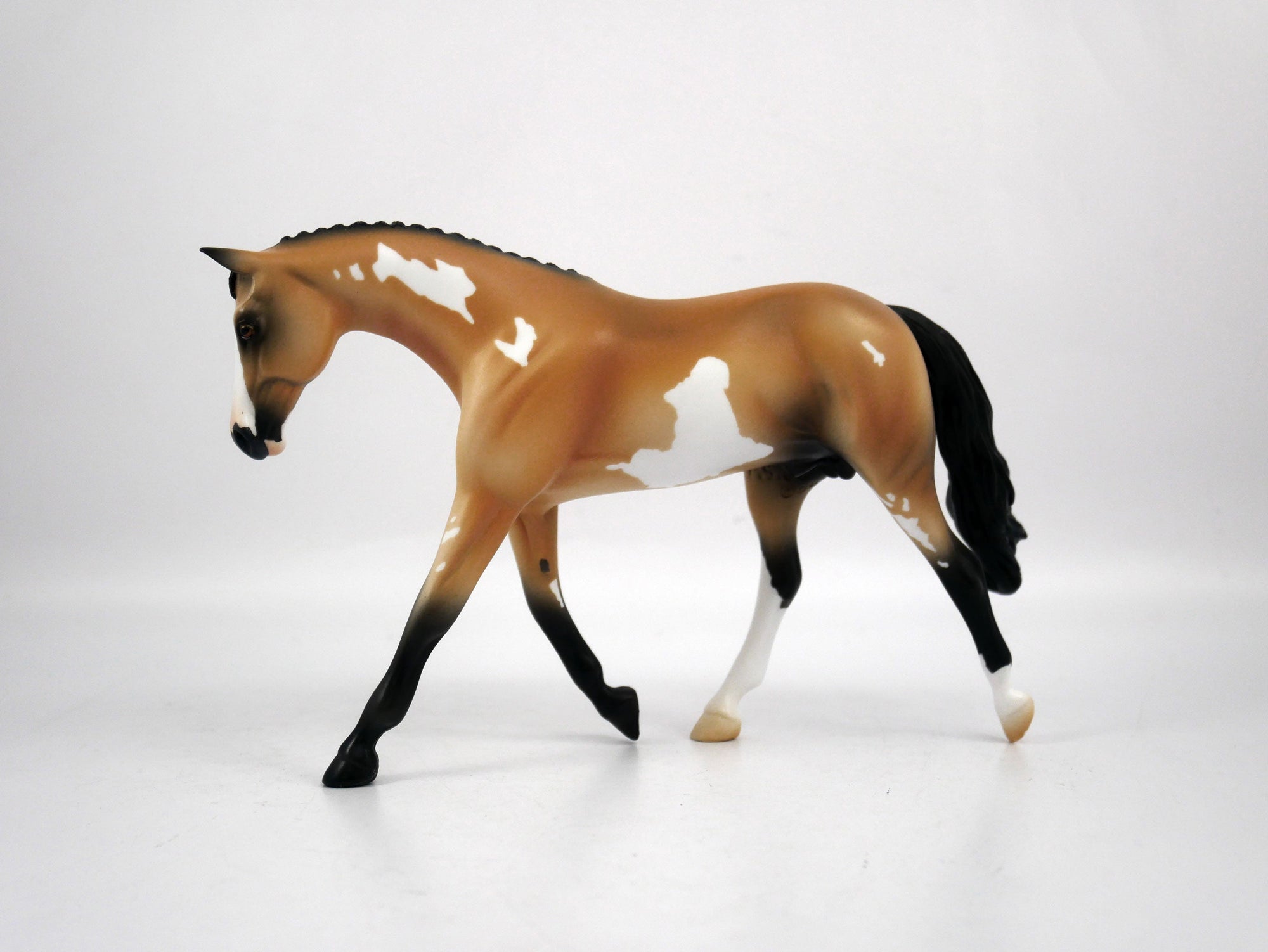 Billy Bob-OOAK Buckskin Warmblood Paint by Ellen 1/29/21