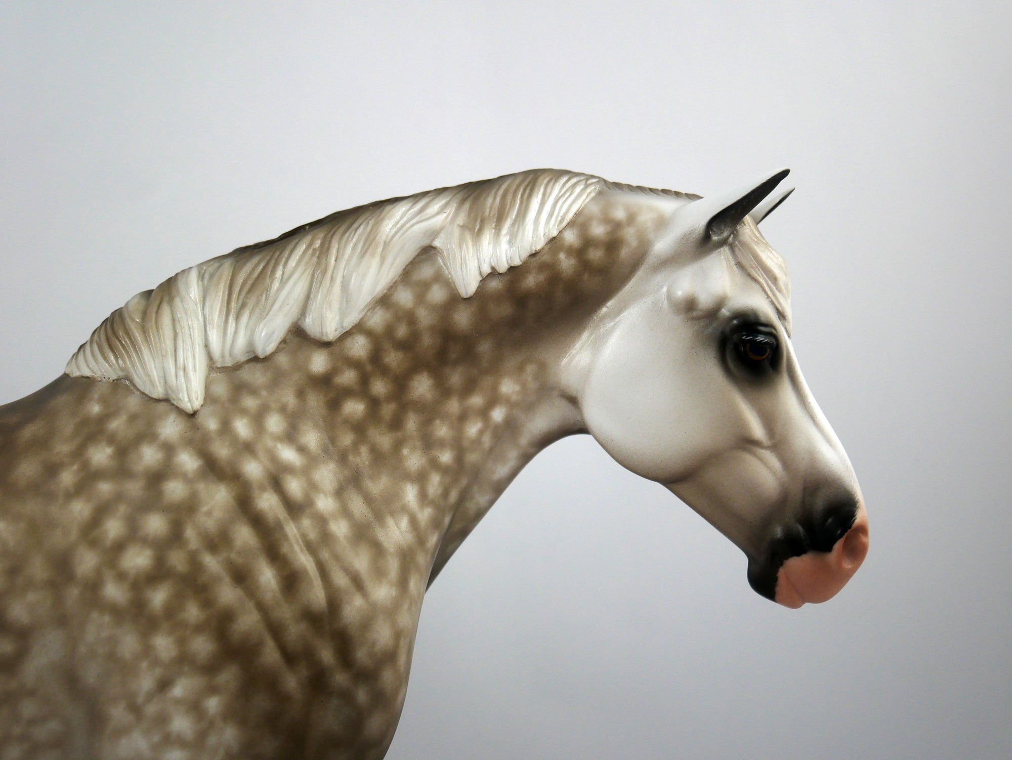 Bitsy Bloom-OOAK Dapple Grey Heavy Draft Painted By Sheryl Leisure 1/15/21