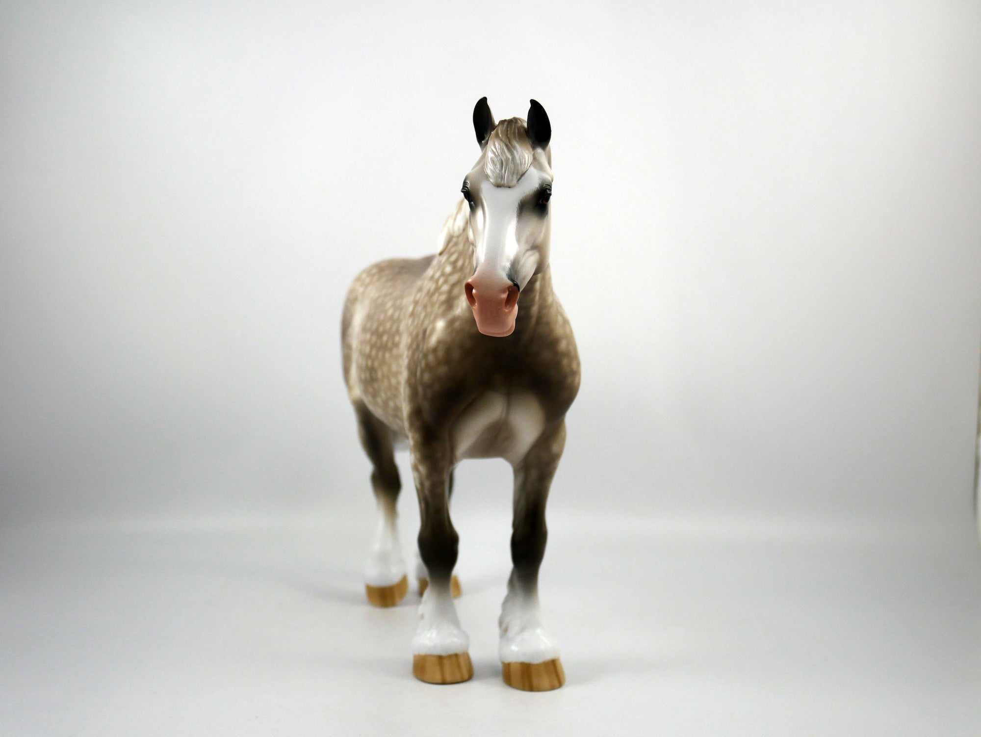 Bitsy Bloom-OOAK Dapple Grey Heavy Draft Painted By Sheryl Leisure 1/15/21