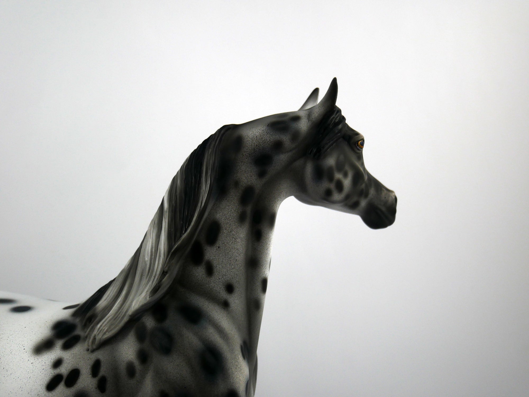 Black Sabbath-OOAK Appaloosa Arabian 1/8/21